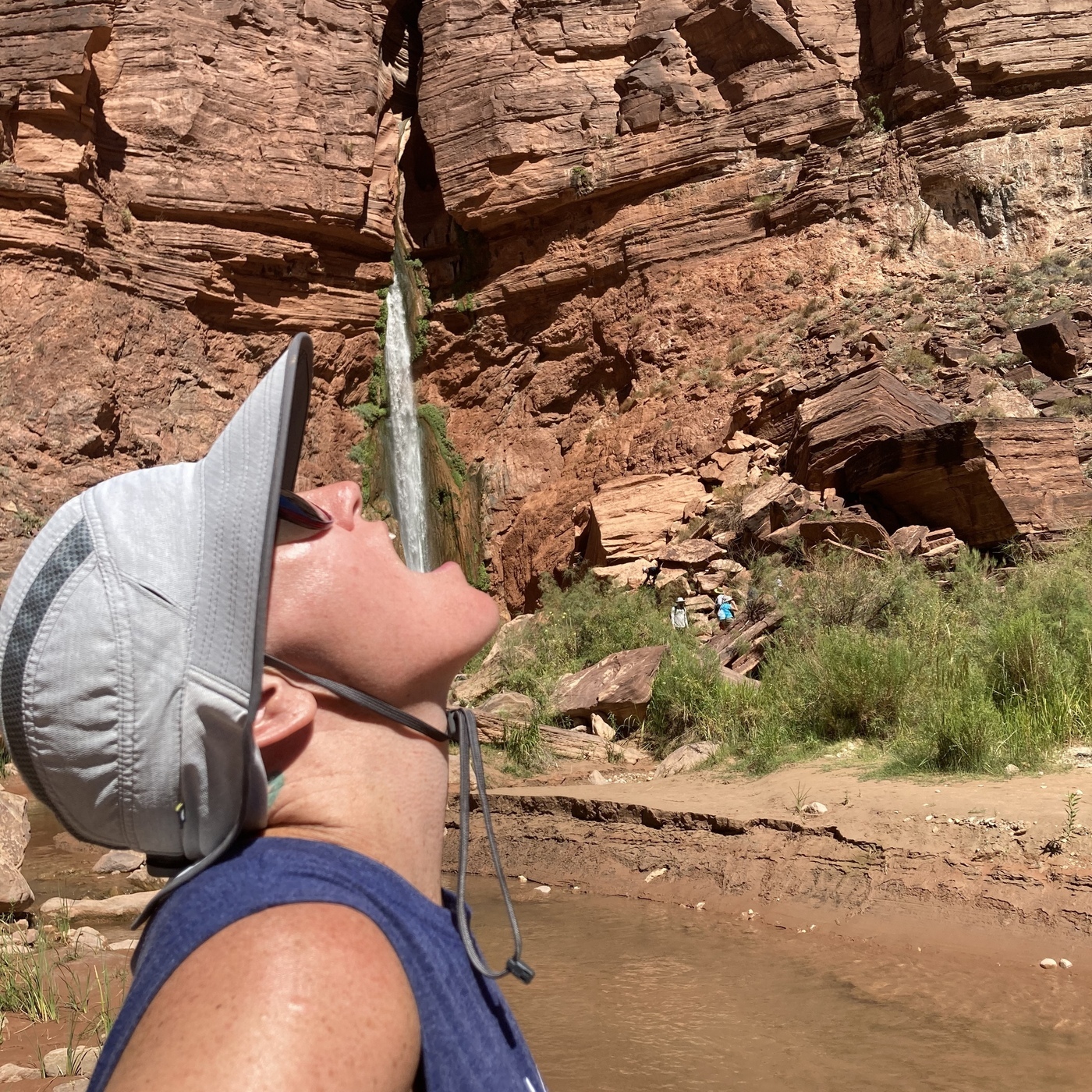 Vet Talk #68-Heat Stroke