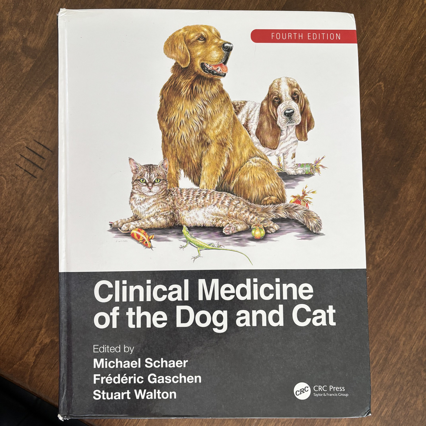 Clinical Medicine of the Dog and Cat: Cough