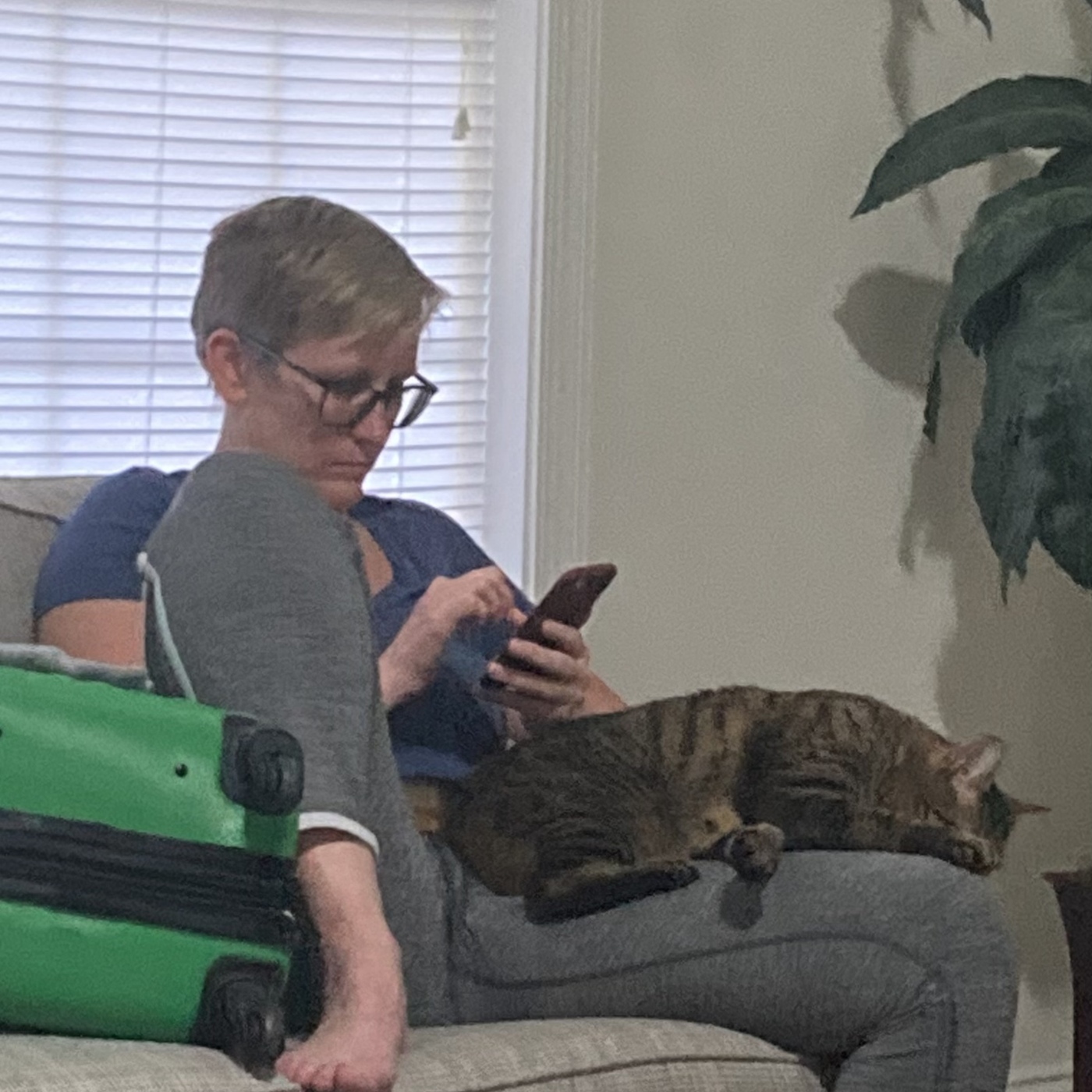 Vet Talk #72-Pets After a Fire