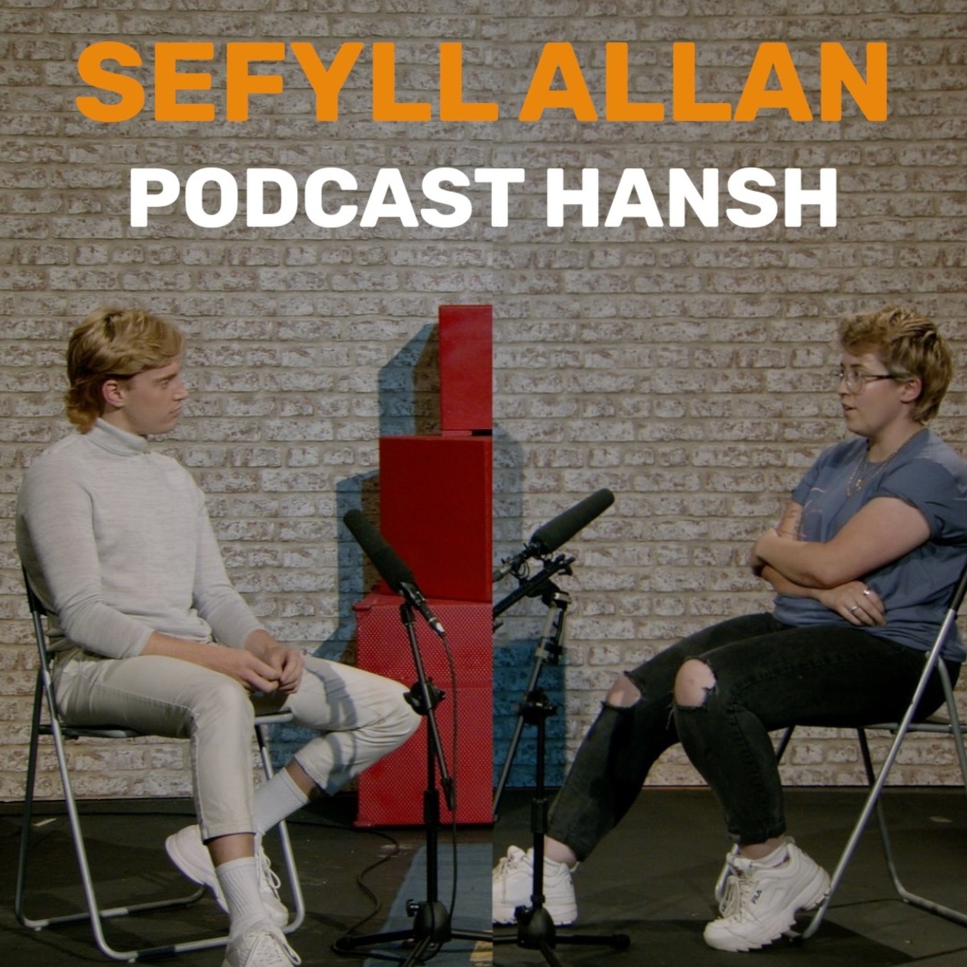 Sefyll Allan... Ifan Llywelyn a Cadi Dafydd