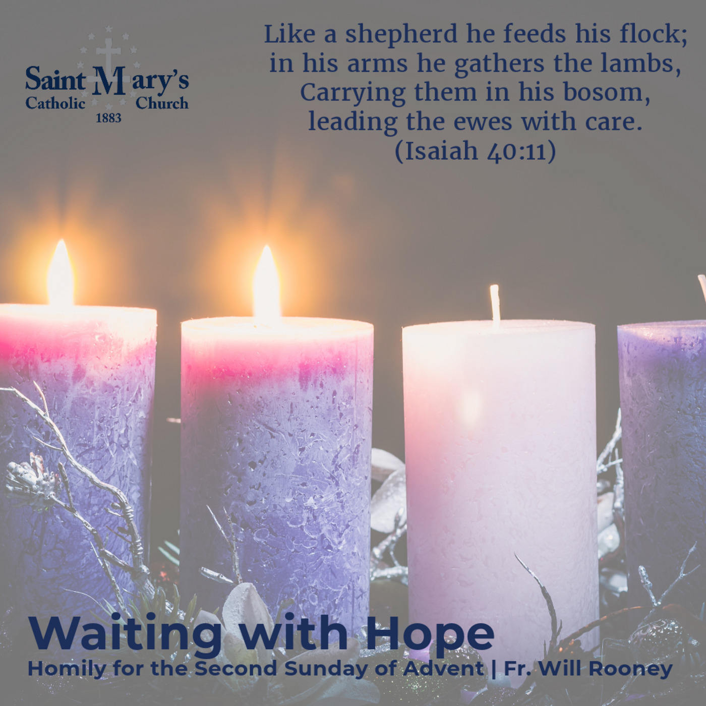 Waiting with Hope | Homily for the Second Sunday of Advent | Fr. Will Rooney