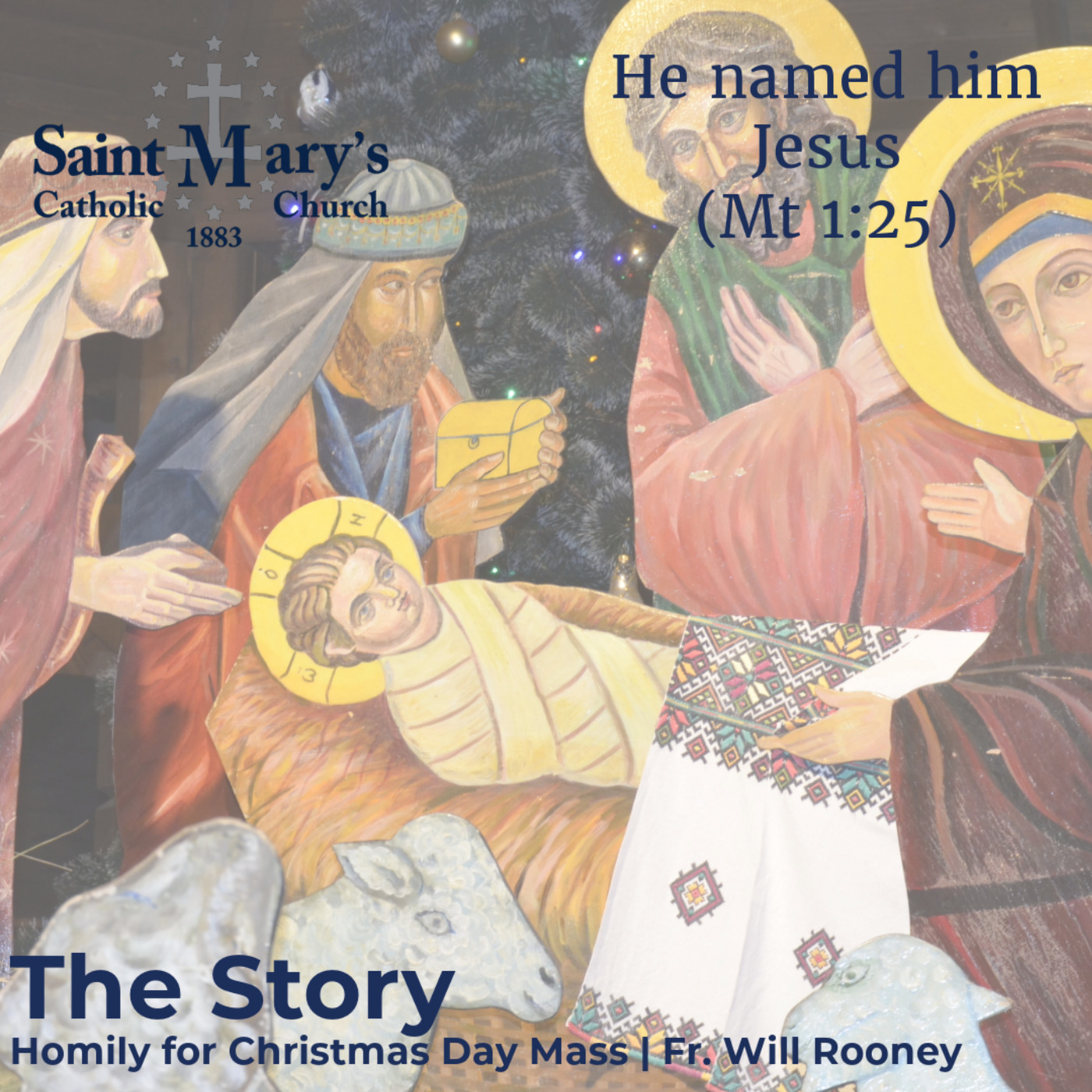 The Story | Homily for Christmas Day Mass | Fr. Will Rooney