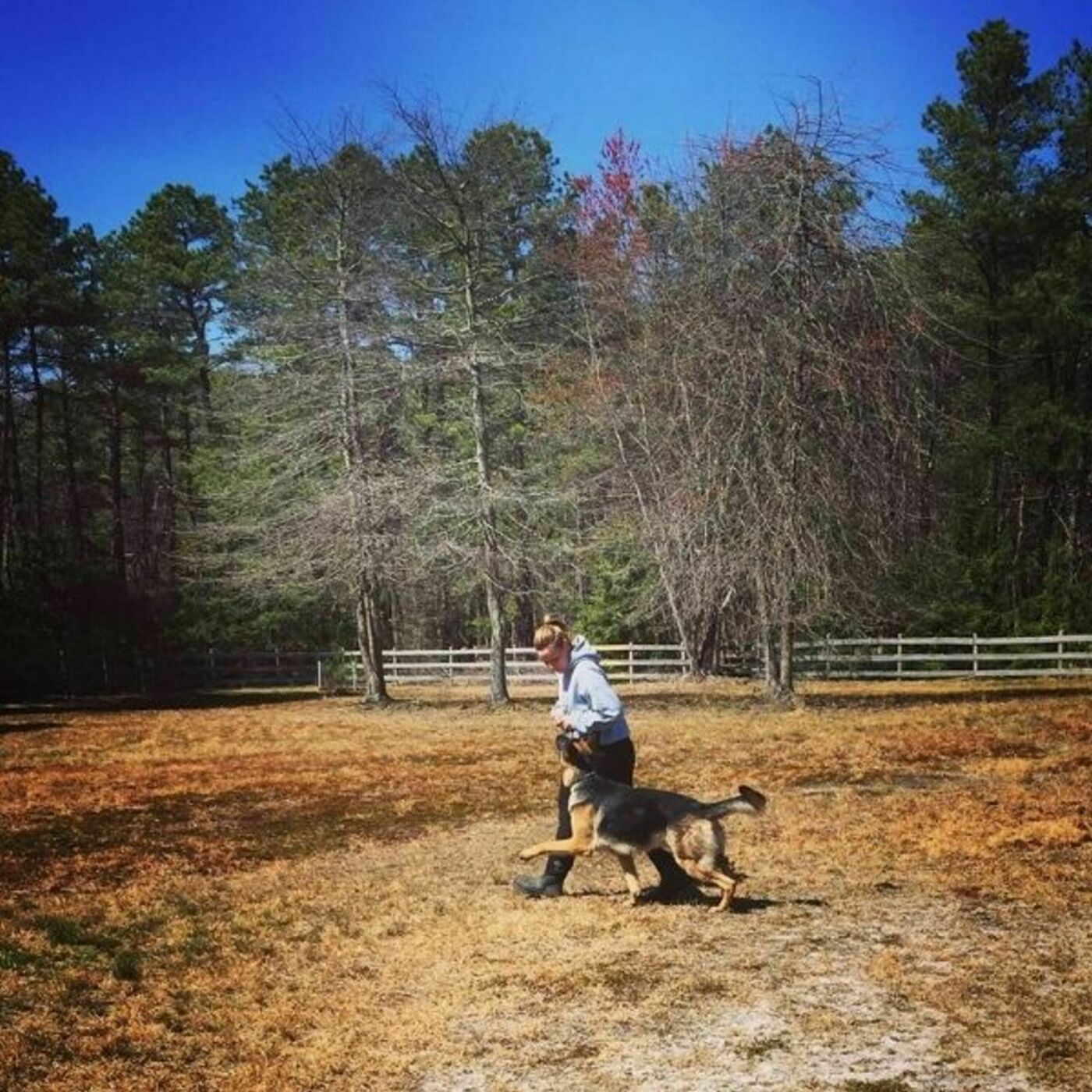 There's No Reason You Can't Train Your Dog At Home: Uluru Virtual Dog Training with Nicole Skeehan