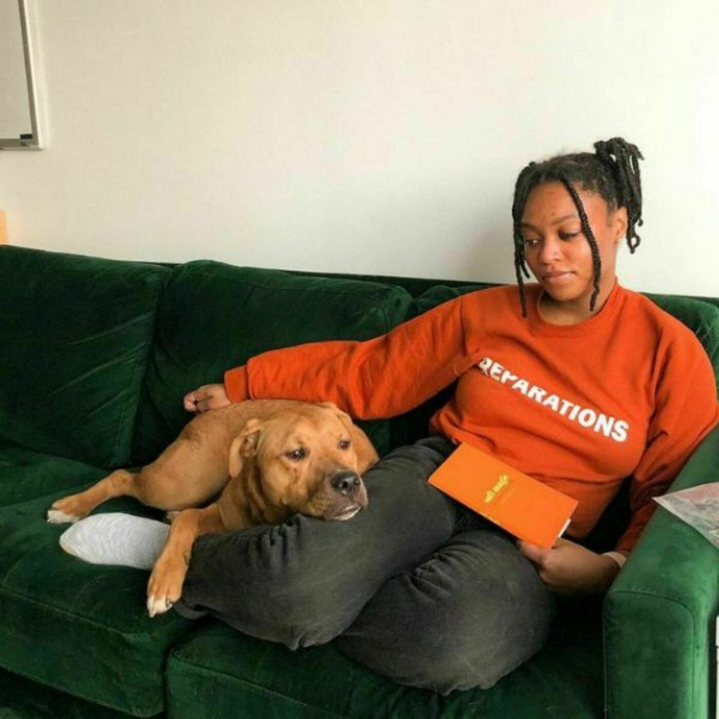 “I Wasn’t Expecting All Of That”: Caring for People and Dogs with Kassidi Jones of Ginger’s Naps