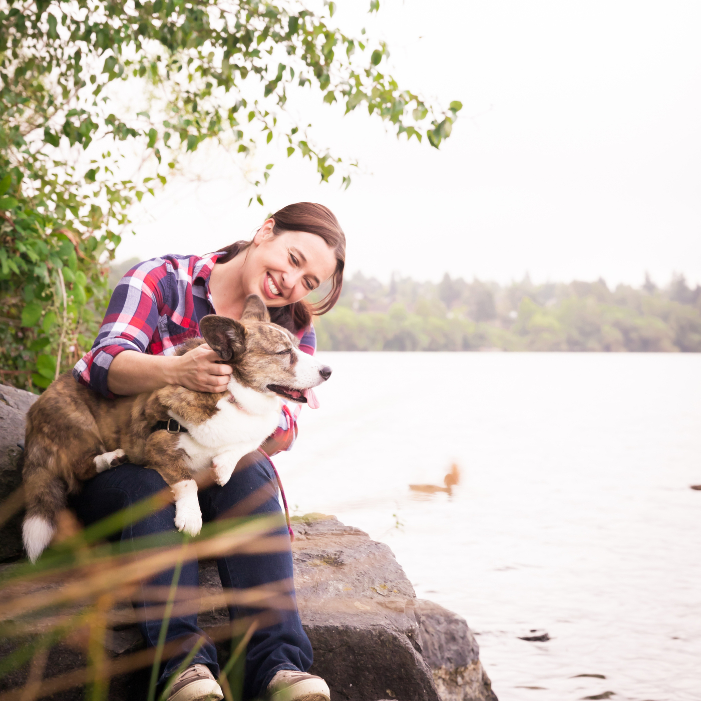 Go One Step At A Time: Resource Guarding Prevention and Management in Puppies with Cathy Madson