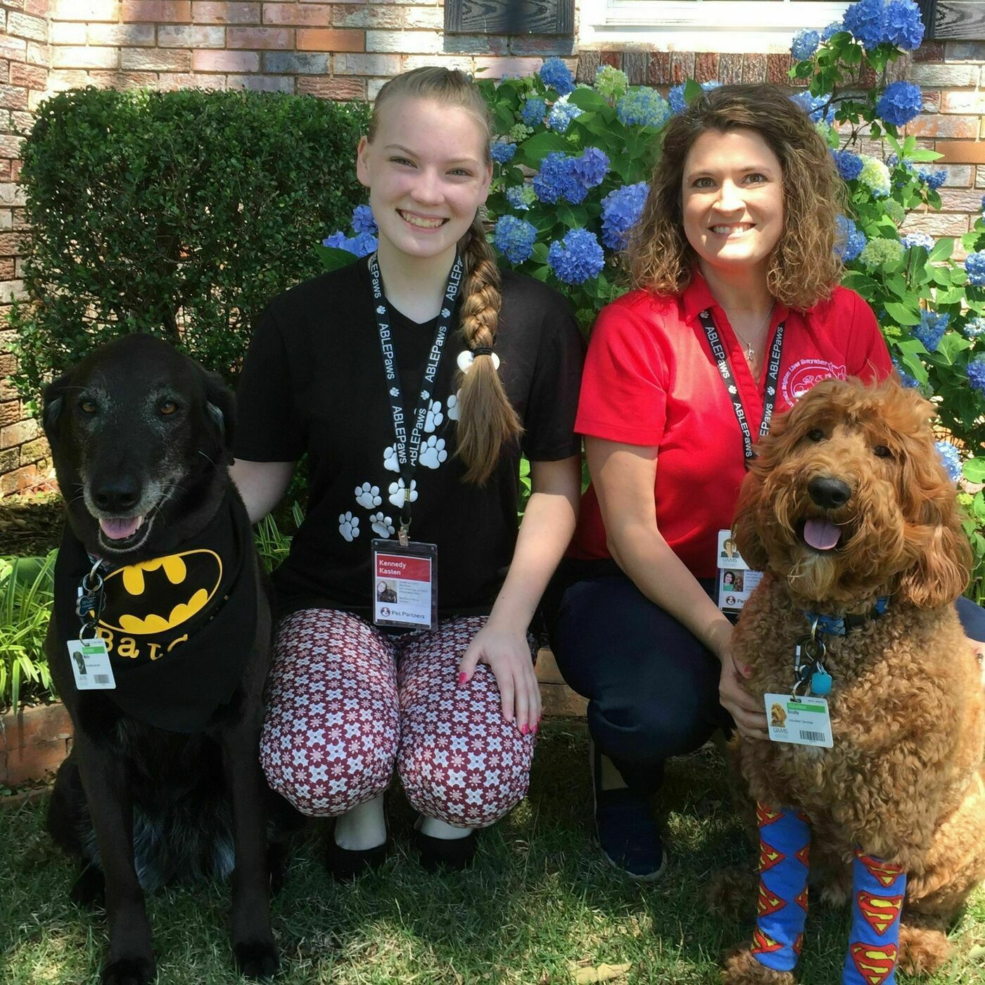 "We'd Love to Have You": Therapy Animal Registration with Katie Kasten of Pet Partners