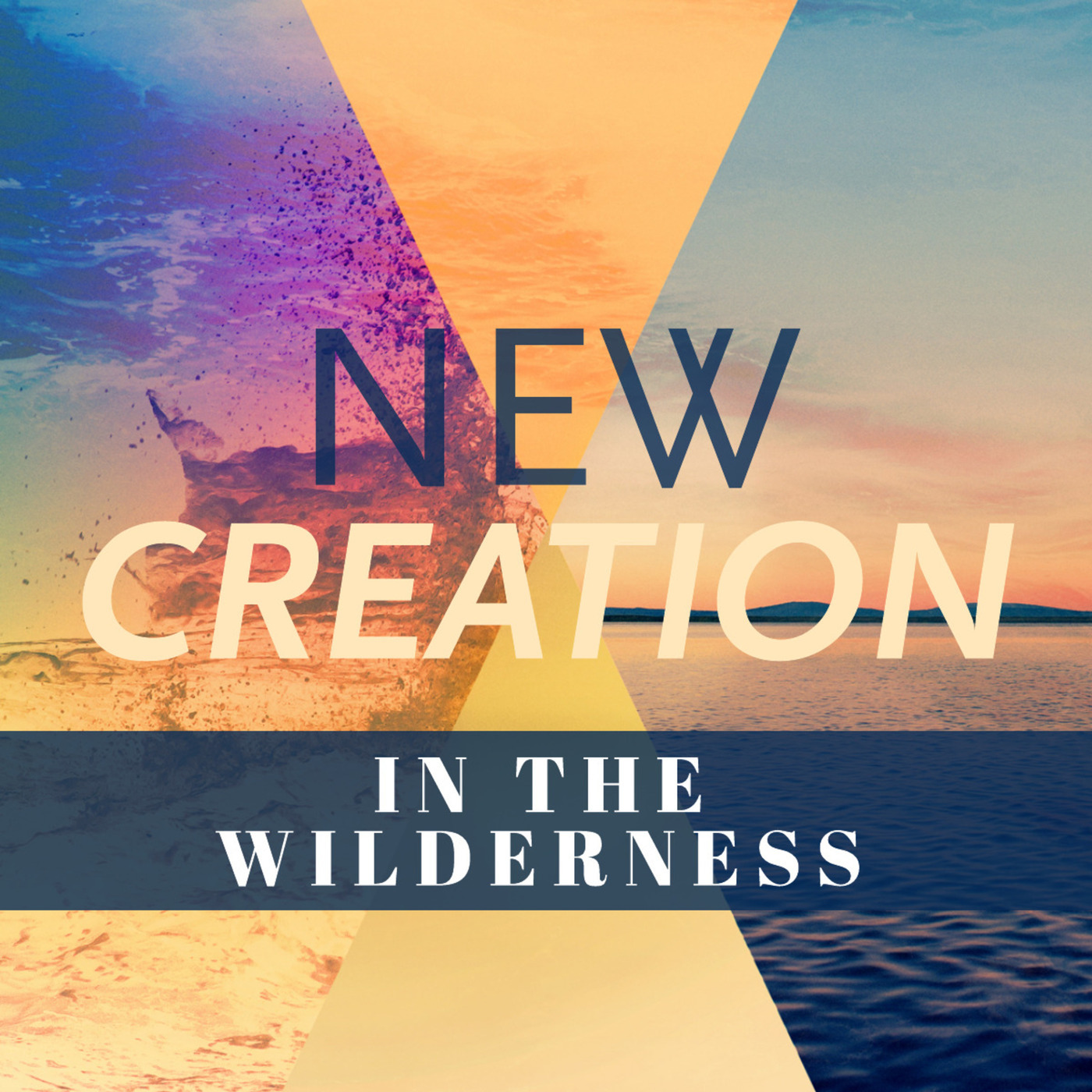 "A New Creation: In the Wilderness" — Rev. Dr. Stephen Cady, Senior Minister