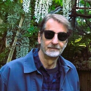 Michael DB Harvey