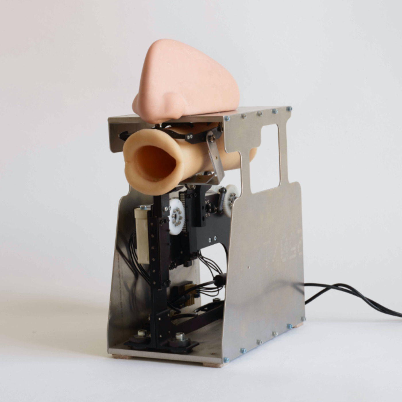 On the Internet, nobody knows you’re a potato