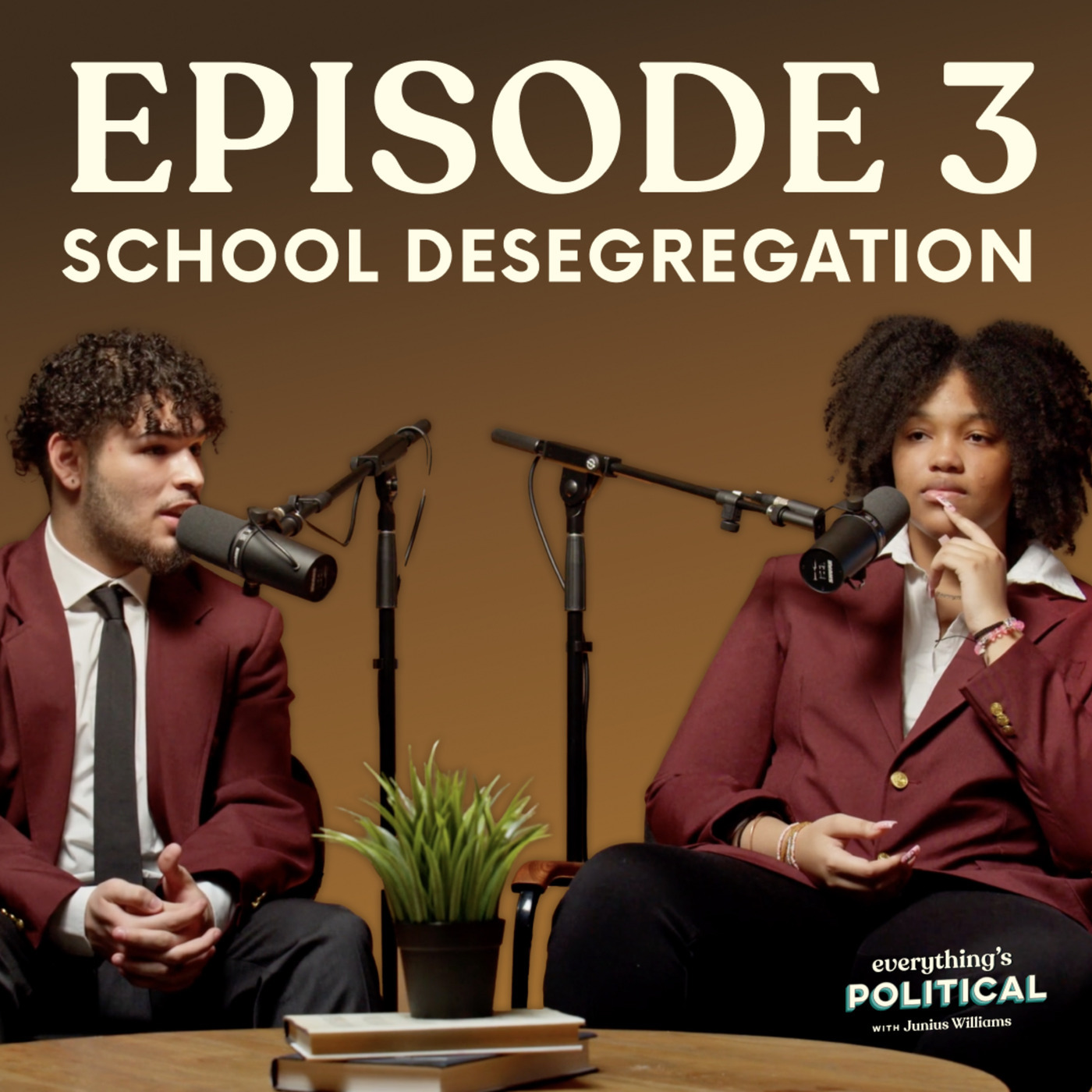 School Desegregation