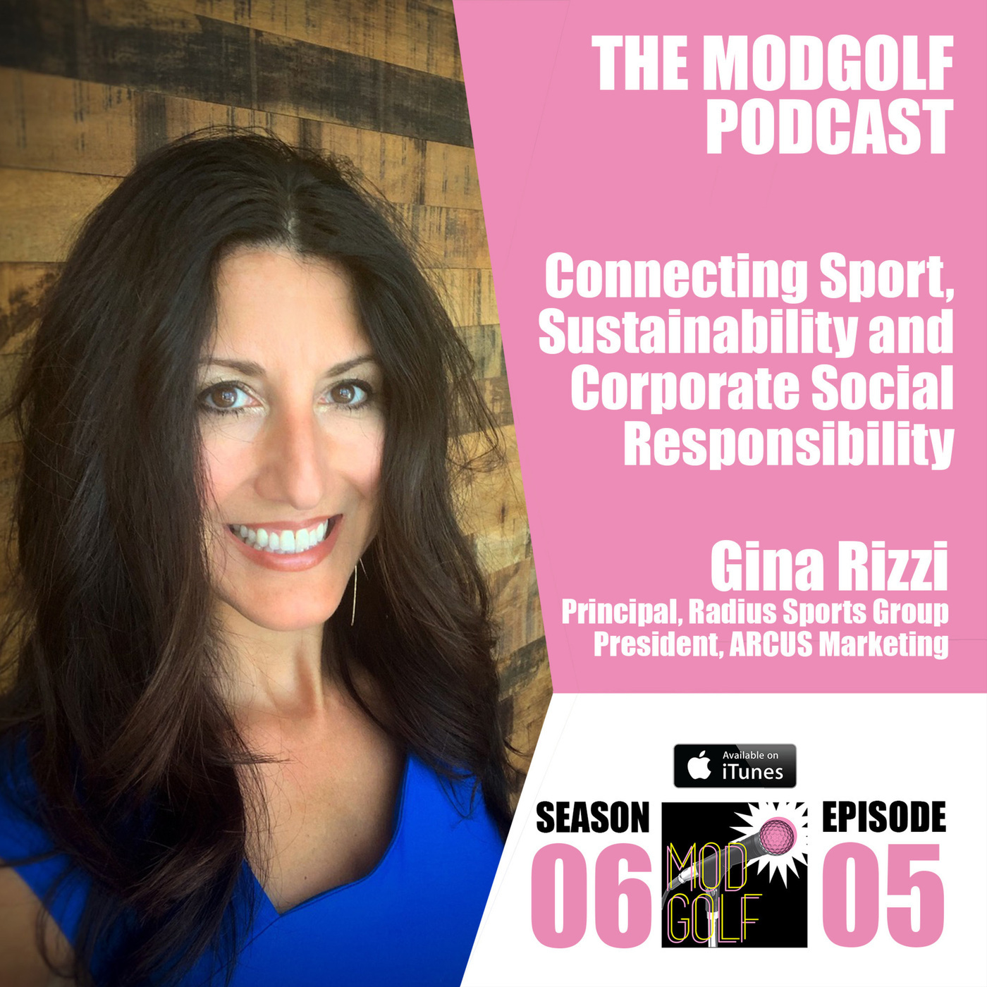 Connecting Sustainability, Corporate Social Responsibility and Sport - Gina Rizzi