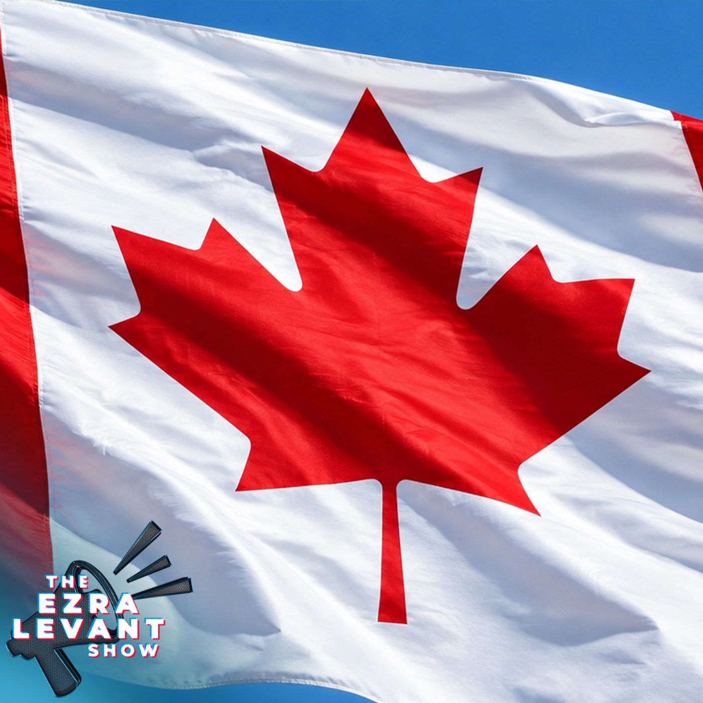 EZRA LEVANT | Immigrants more likely than other Canadians to say newcomers aren’t adopting Canadian values: poll