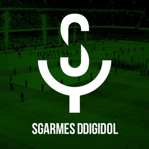 Y Sgarmes Ddigidol