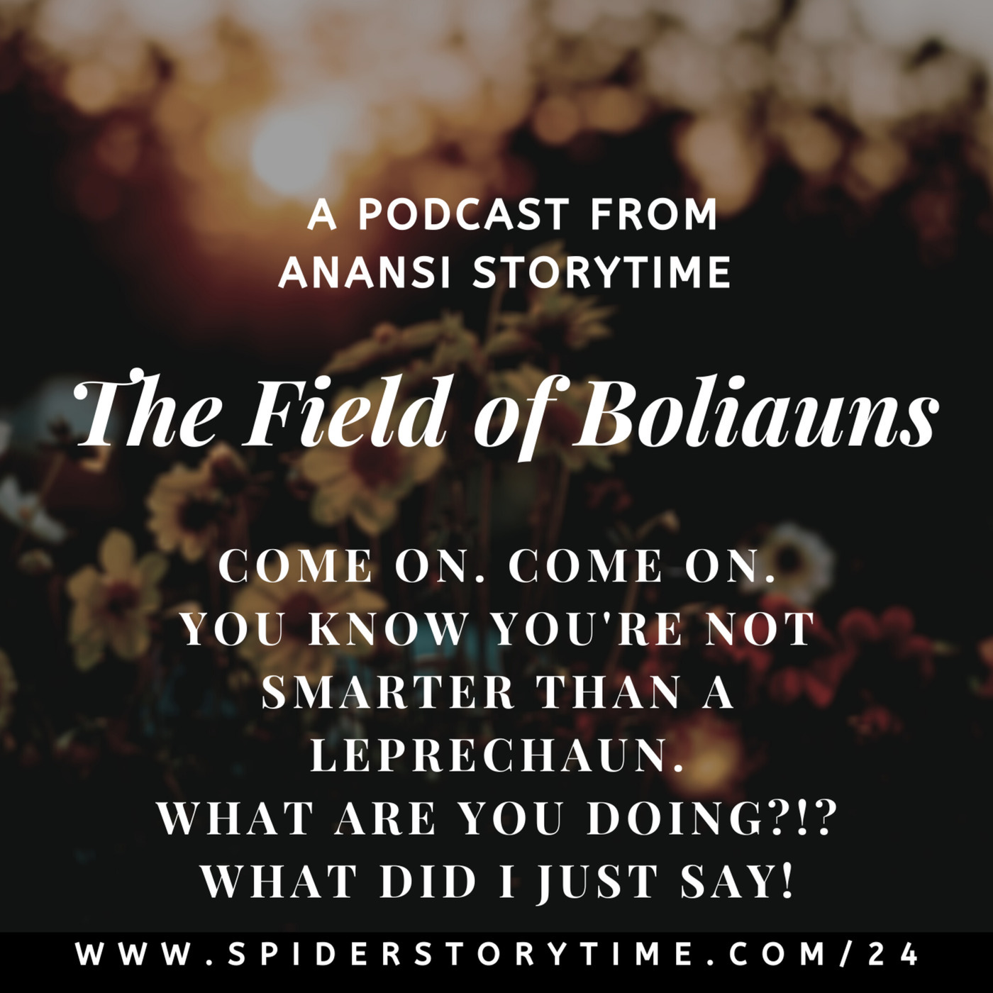 S2: The Field of Boliauns