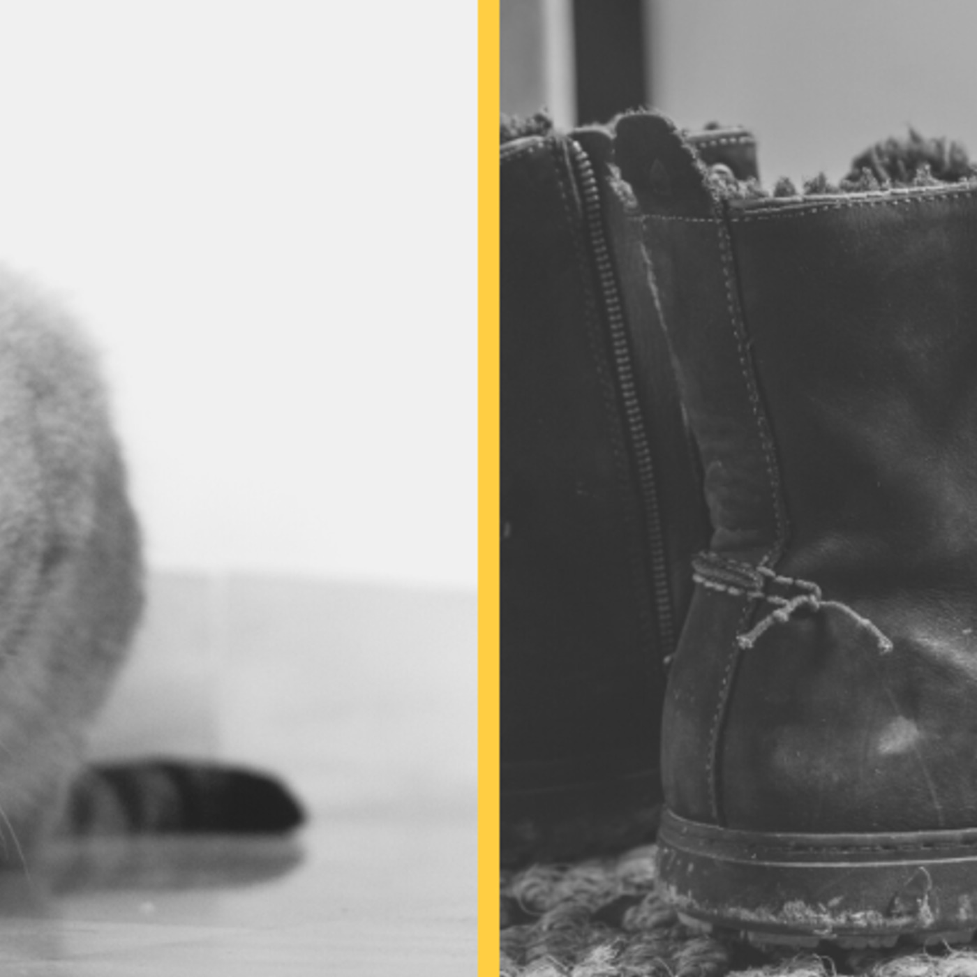 S3: Puss in Boots