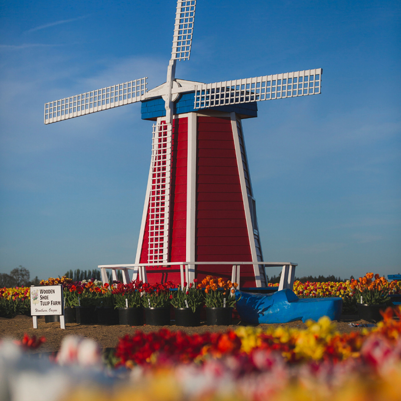S3: Don Quixote