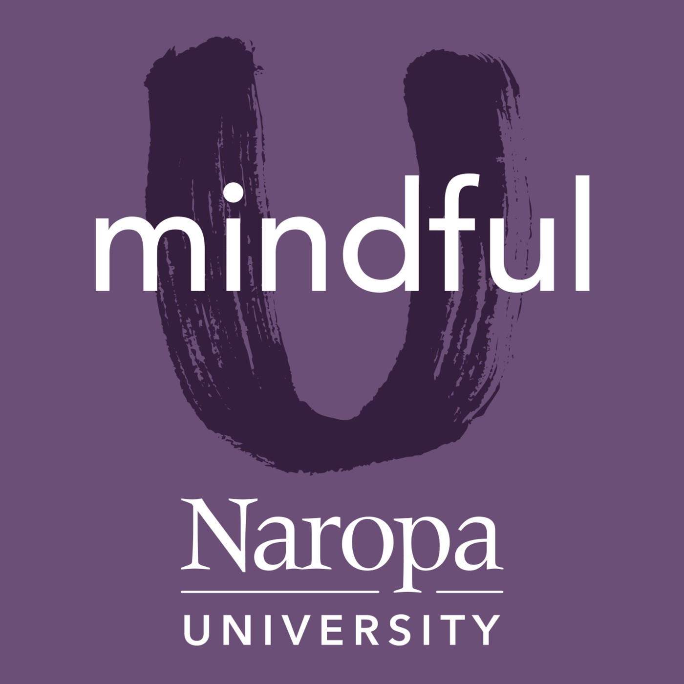16. Anne Parker: Gross National Happiness - The Inner and Outer Practice
