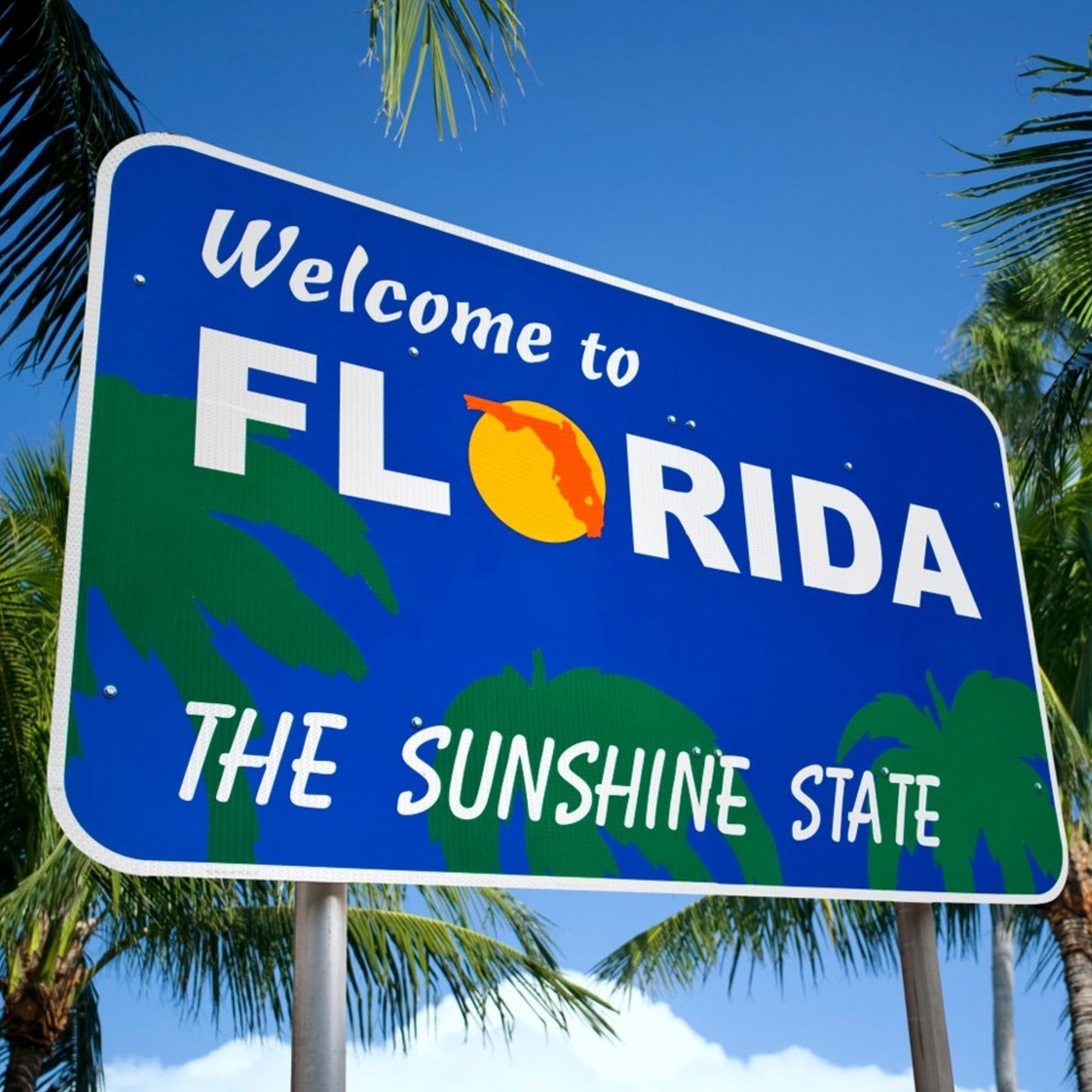 BONUS TEASER: Real Florida Characters