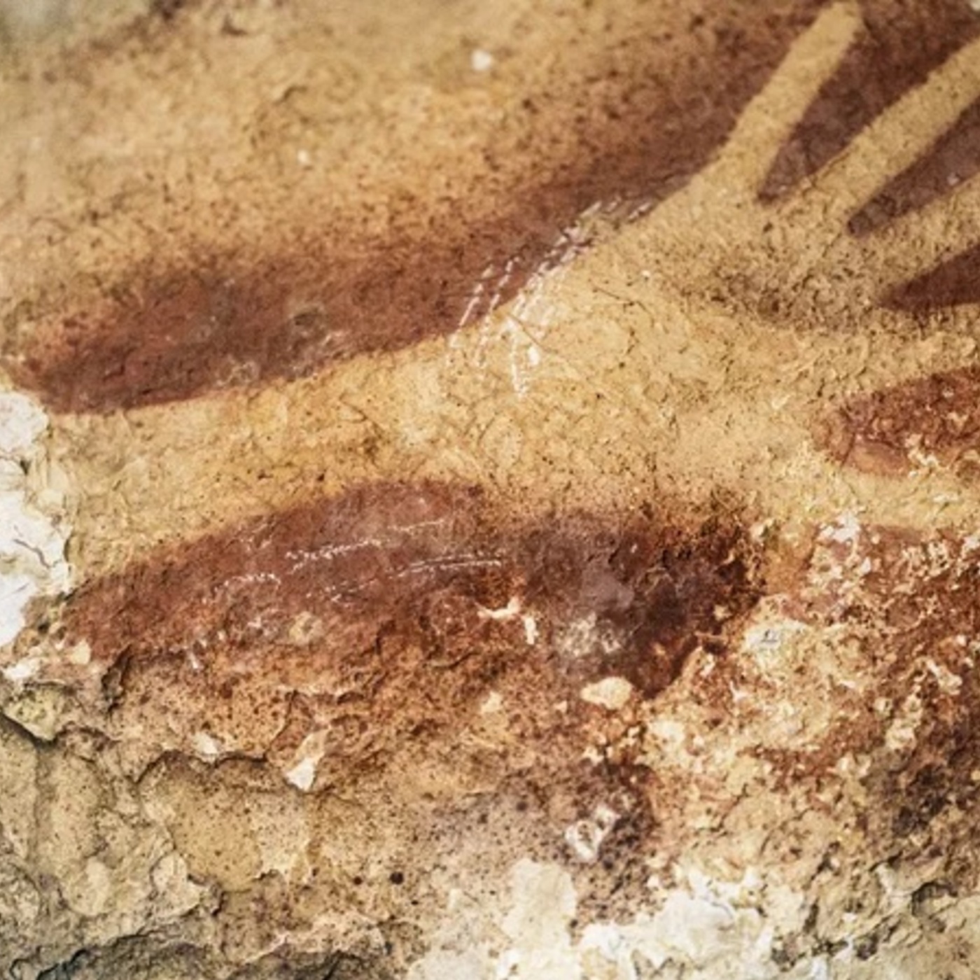 #50 - On the Evolutionary Origins of Storytelling, Art, and Science