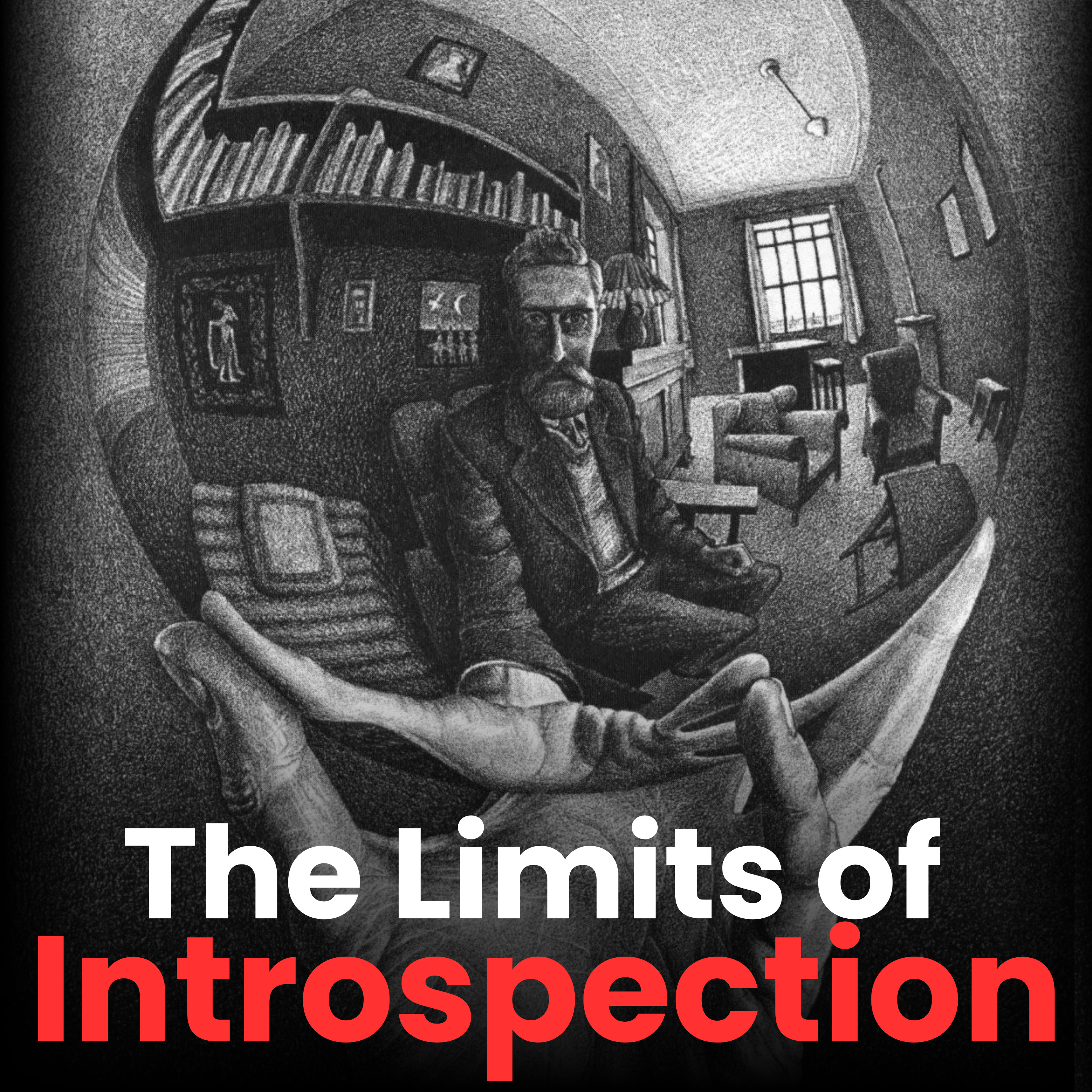 #96 (Bonus) - On the Limits of Introspection episode artwork