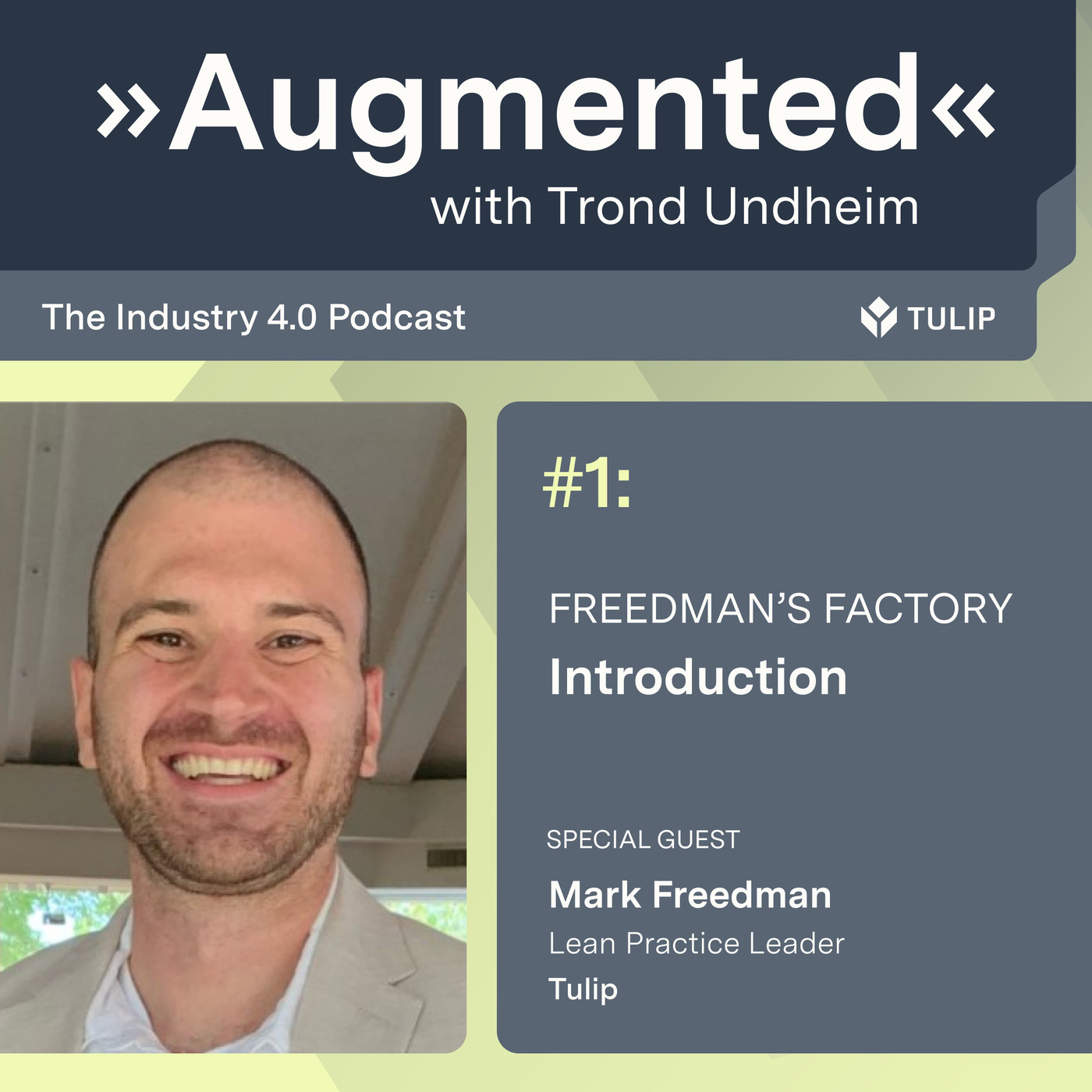 Freedman's Factory: Introduction