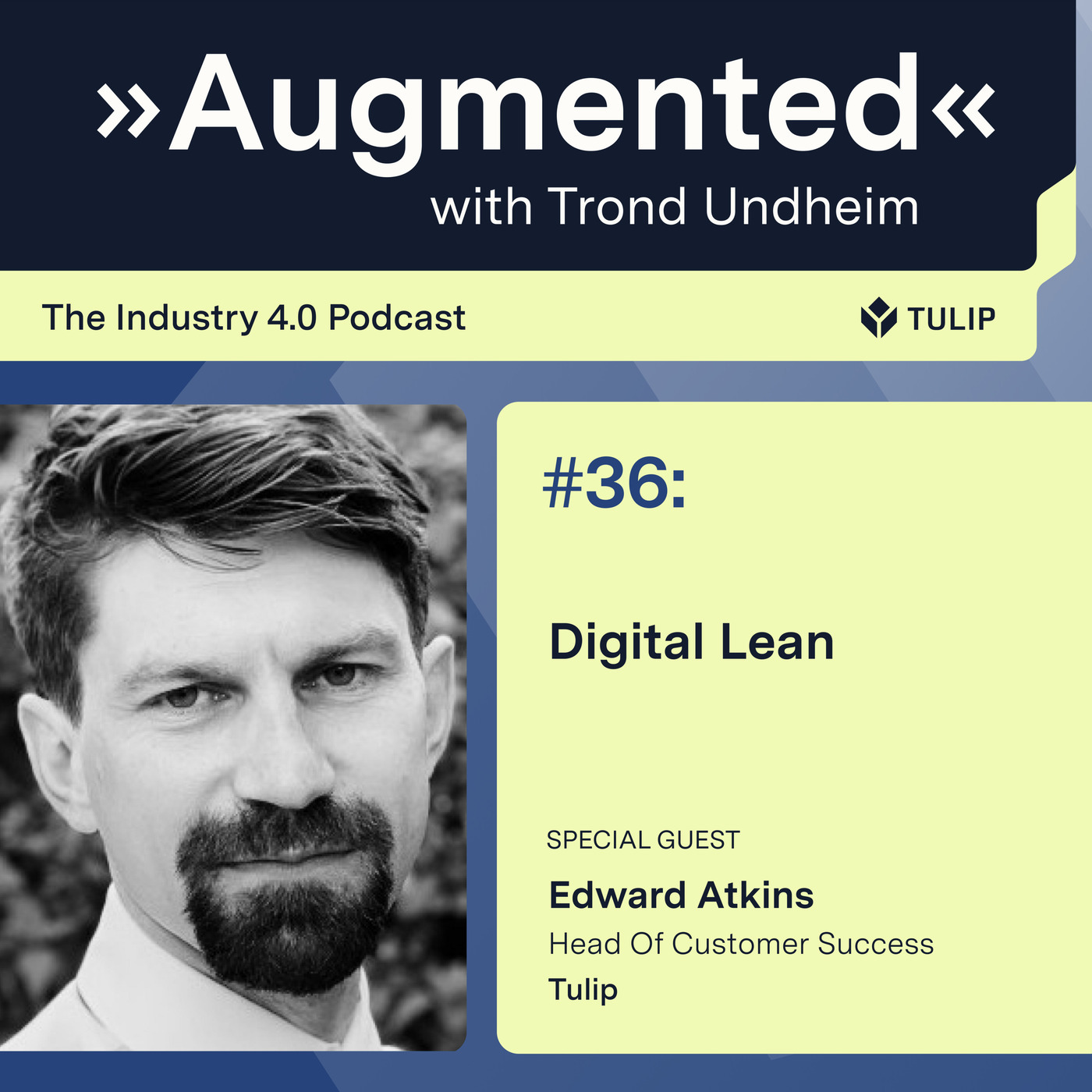 Digital Lean