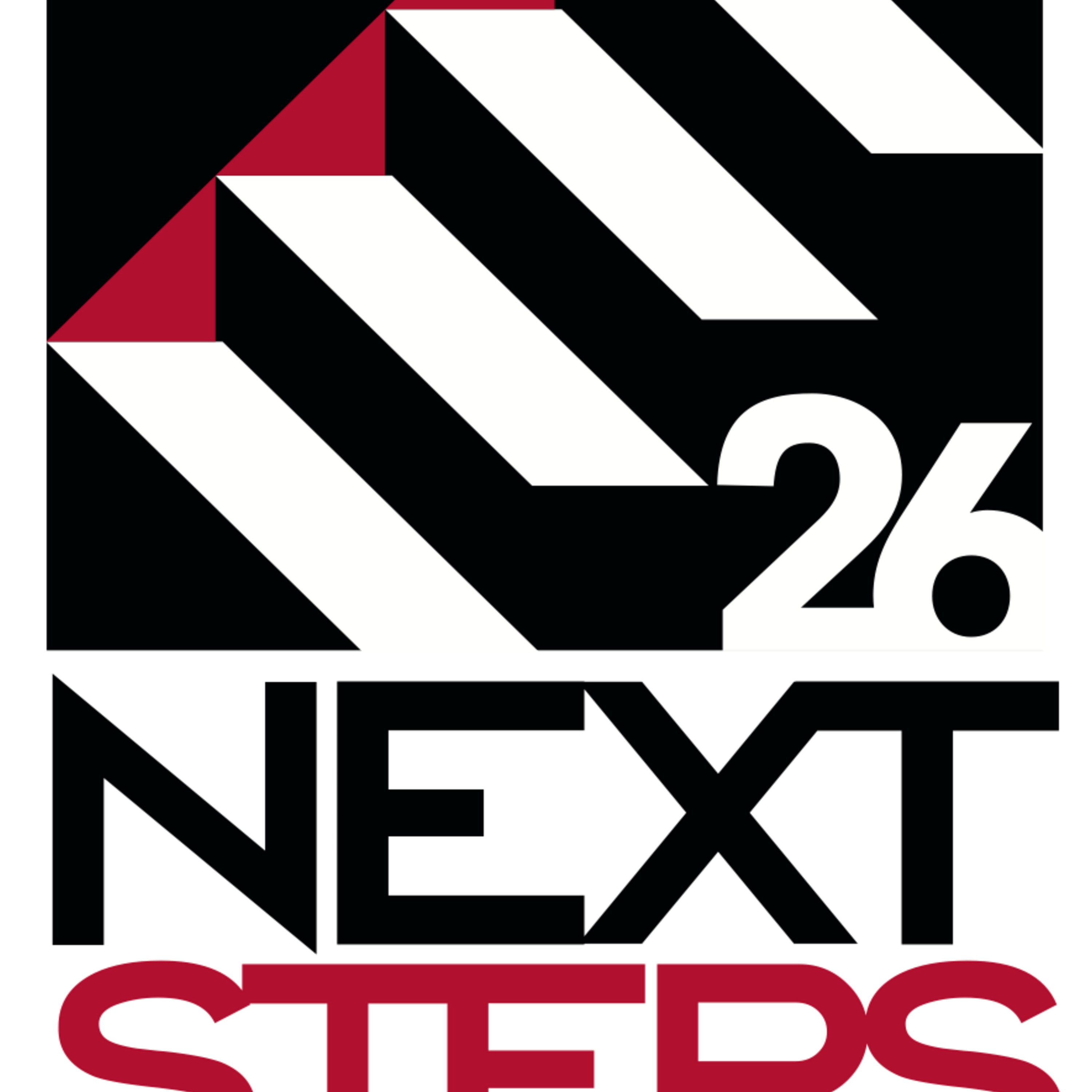 Next Steps 2026: Do Not Be Afraid episode artwork