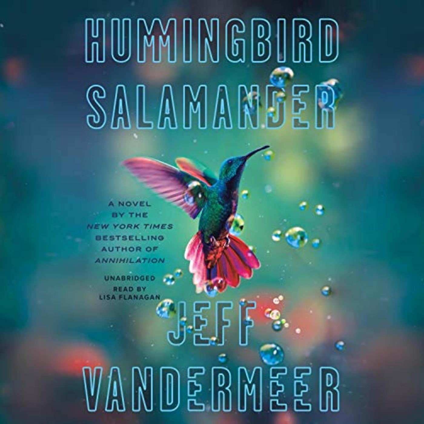 Jeff VanderMeer - HUMMINGBIRD SALAMANDER