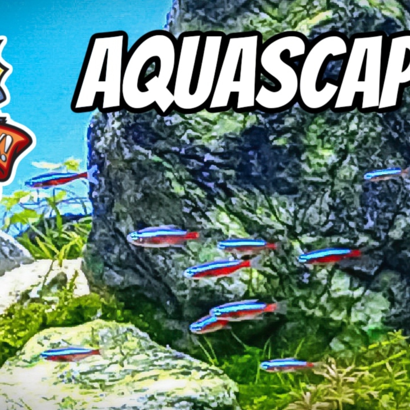 Teaching A Dummy How To Aquascape
