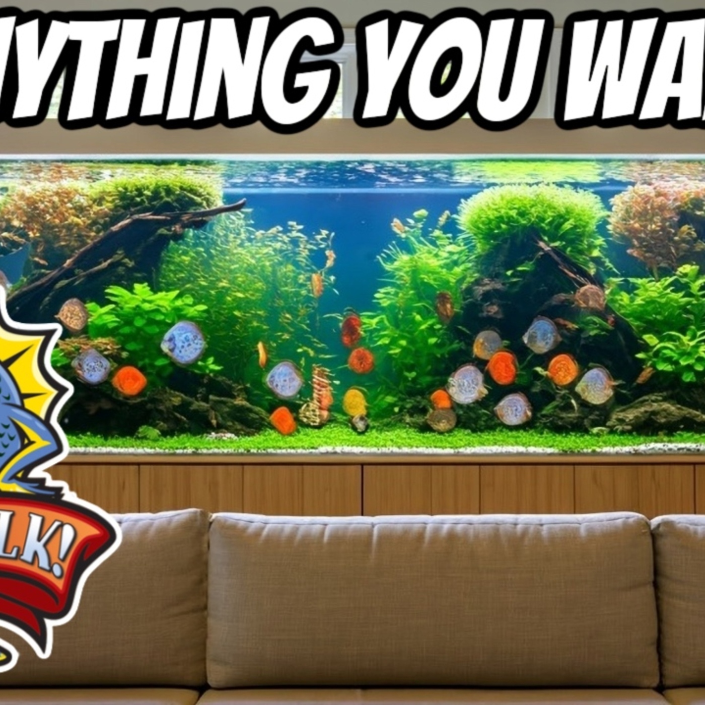 What If Money Was No Object? Fantasy Aquarium Talk