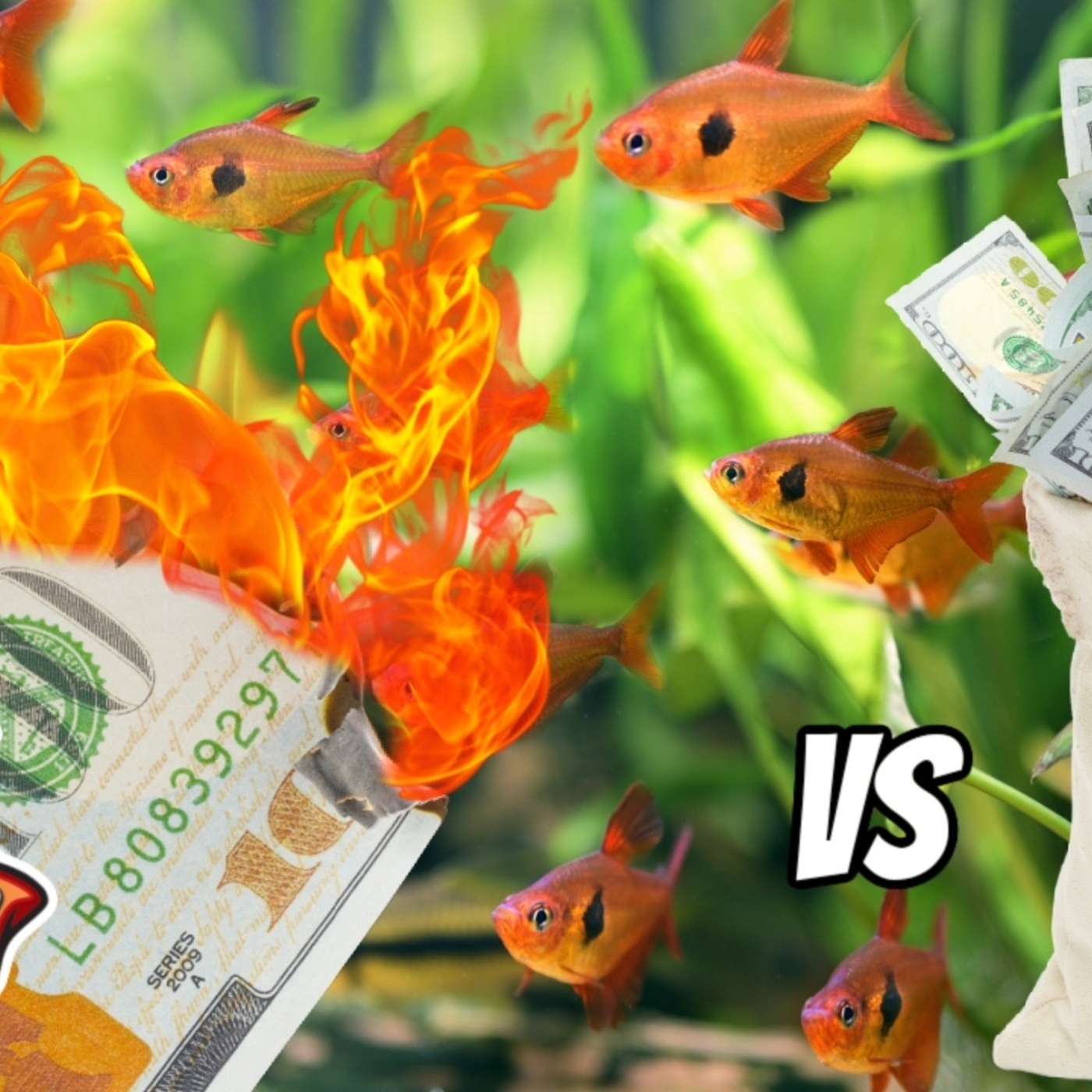 5 Ways To Save and 5 Ways To Lose Money