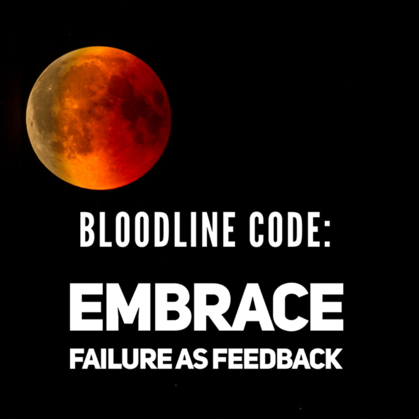 Bloodline Code: Embrace Failure As Feedback