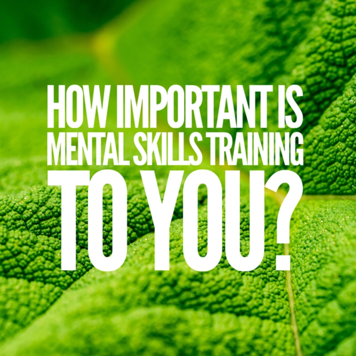 #23 How Important Is Mental Skills Training To You?