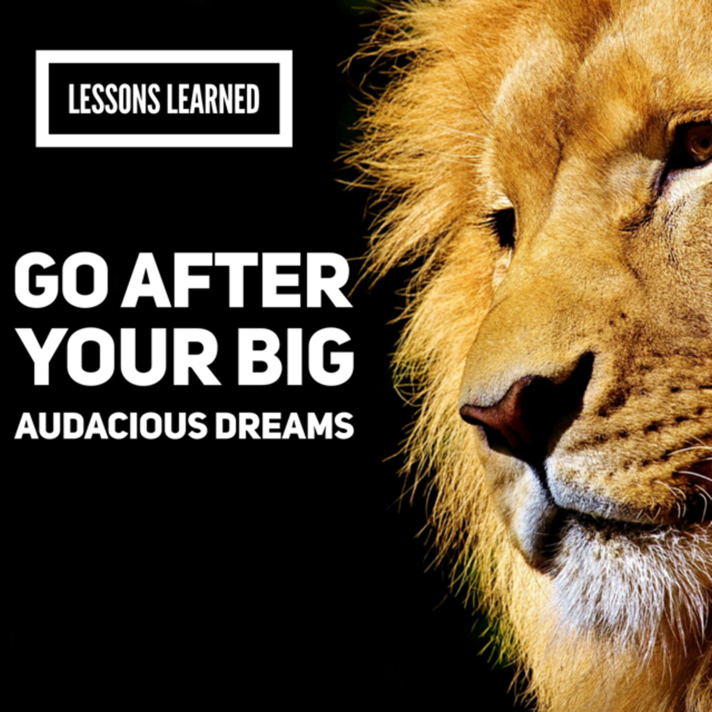 Lessons Learned: Go After Those Big Audacious Dreams
