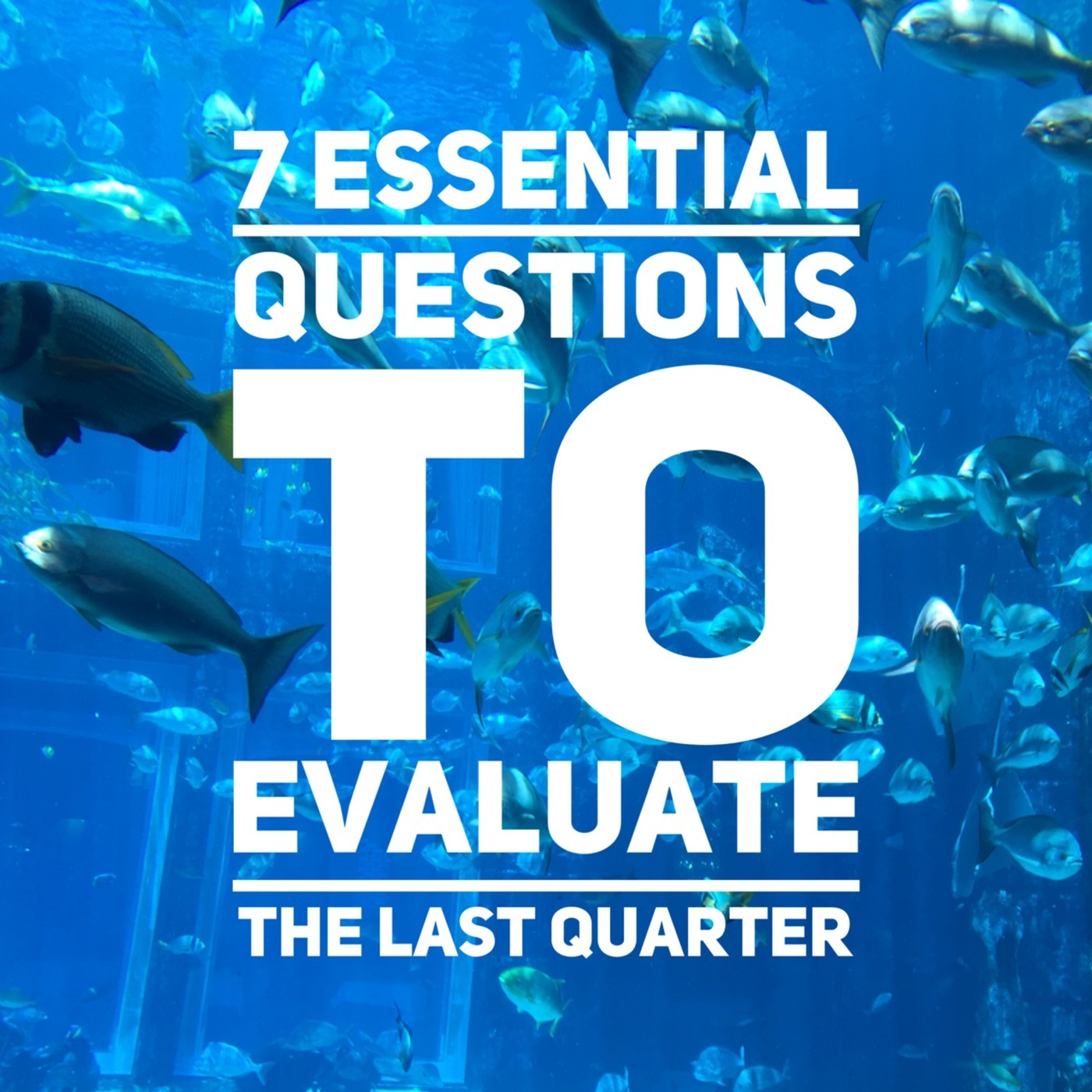 #15 How To Evaluate The Last Quarter - The 7 Essential Questions