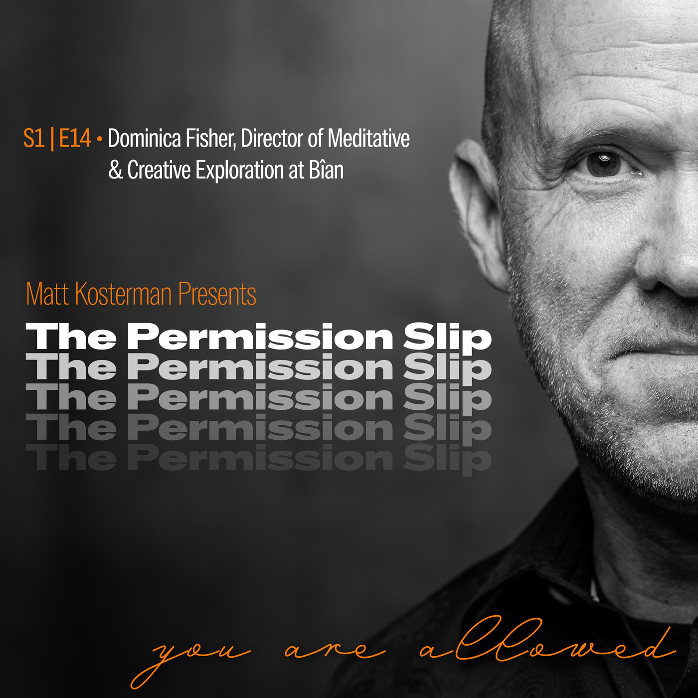 S1 | E14 Dominica Fisher - Director of Meditative  & Creative Exploration at Bîan