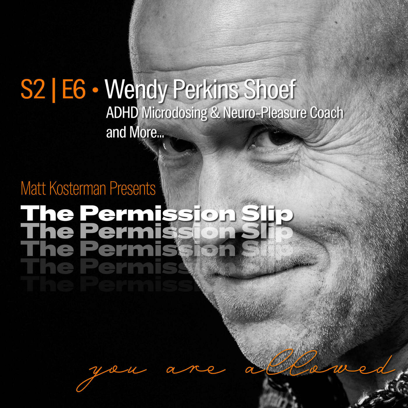 S2 | E6 Wendy Perkins Shoef, ADHD Microdosing and Neuro-Pleasure Coach and More