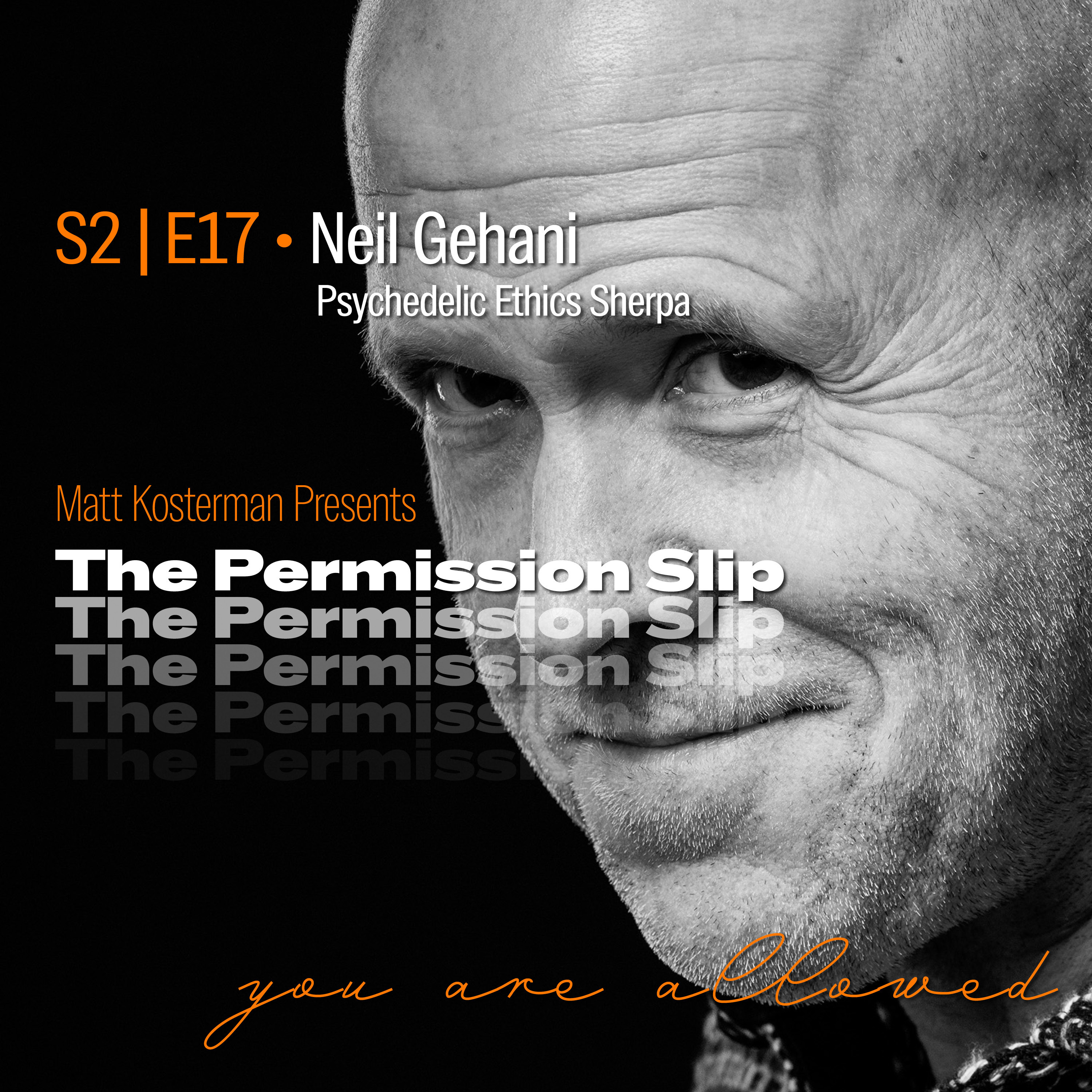 The Permission Slip