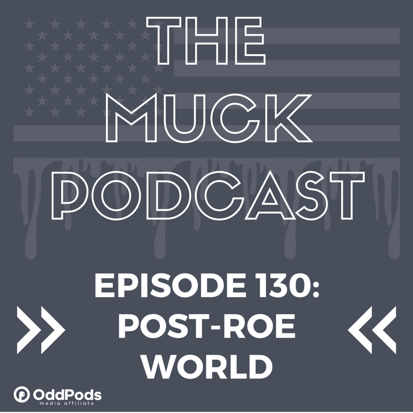 Episode 130: Post Roe World