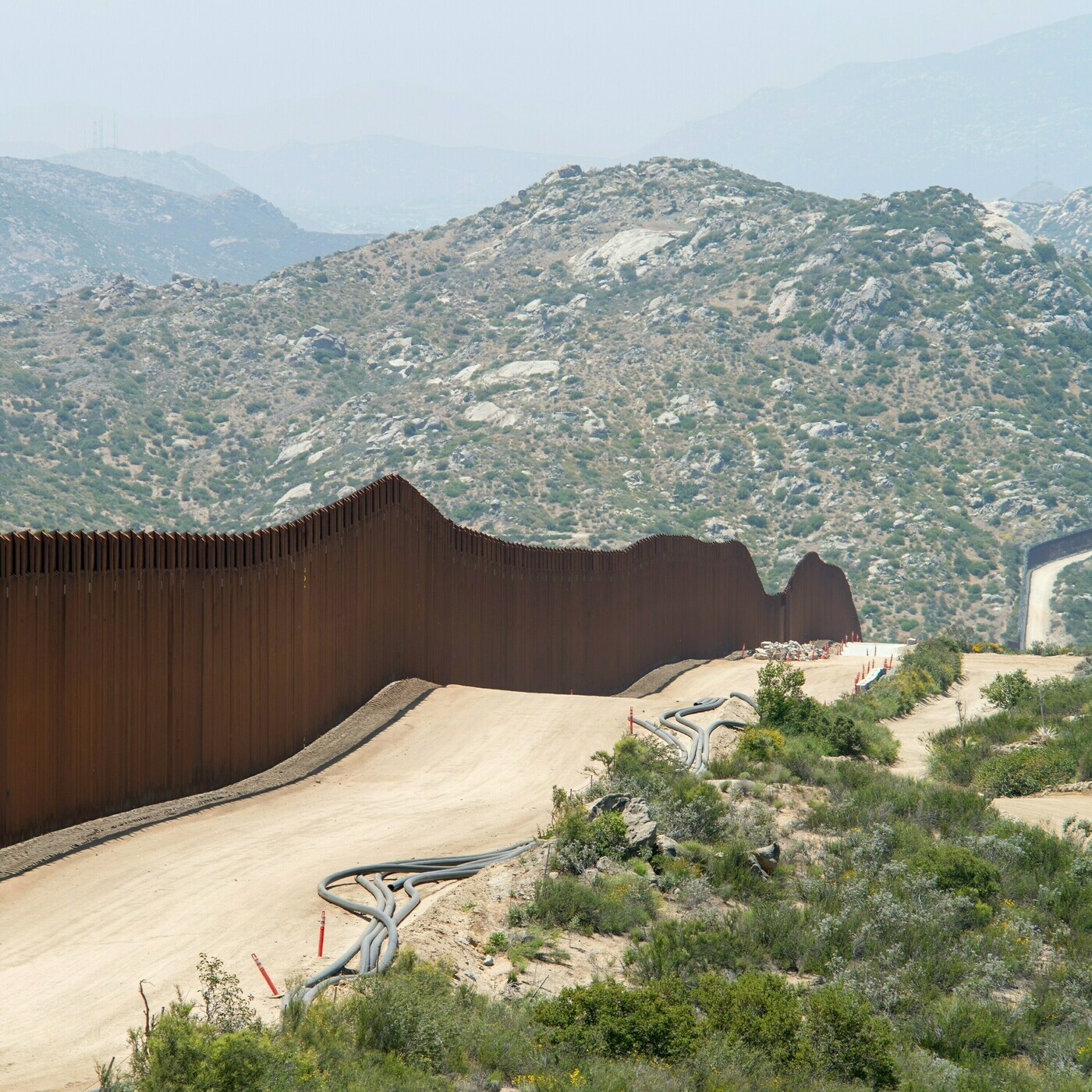 Why are there Rape Trees along the US Southern Border?