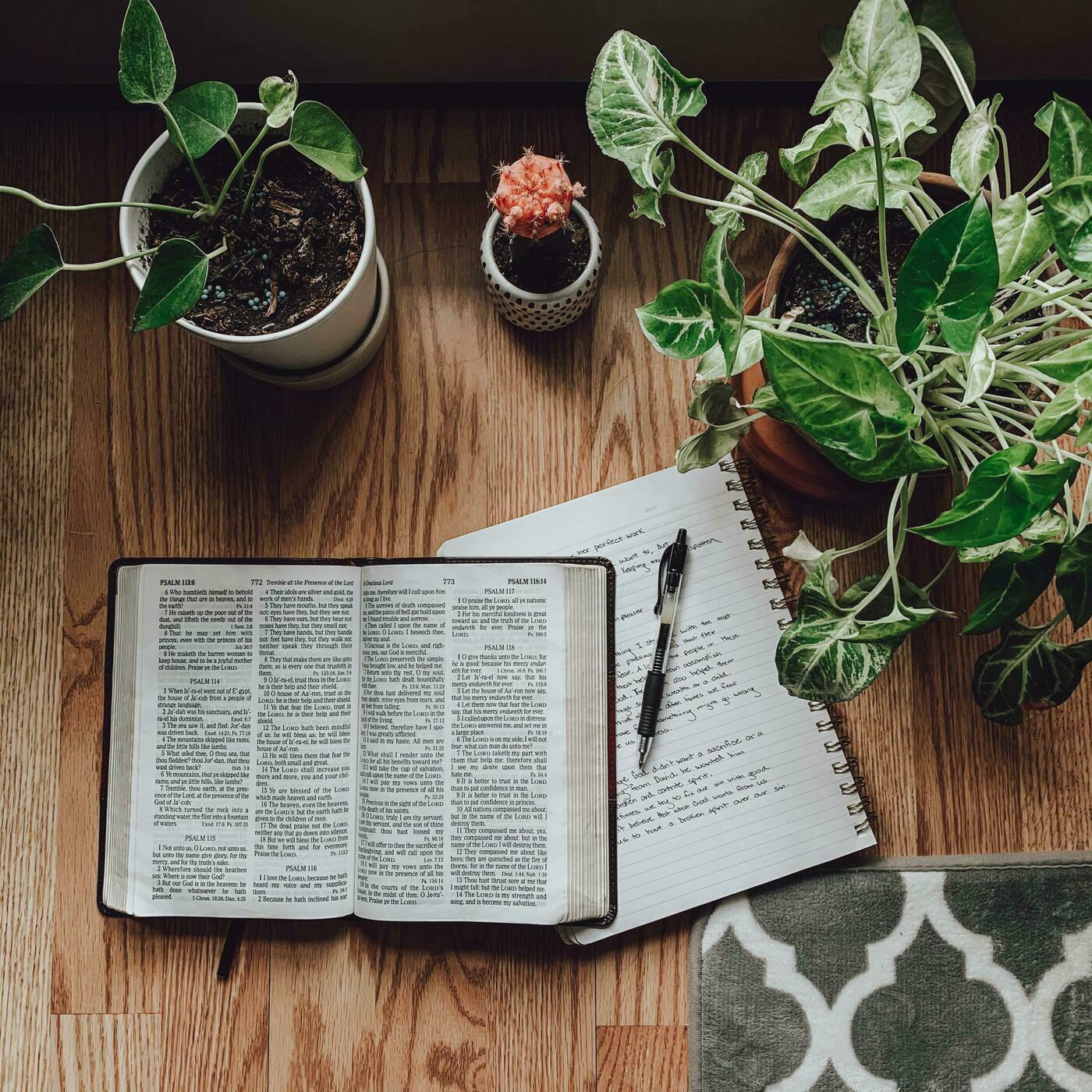 Election Day from a Biblical Perspective