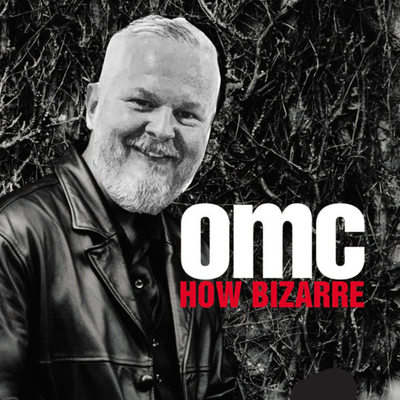 100 - How Bizarre