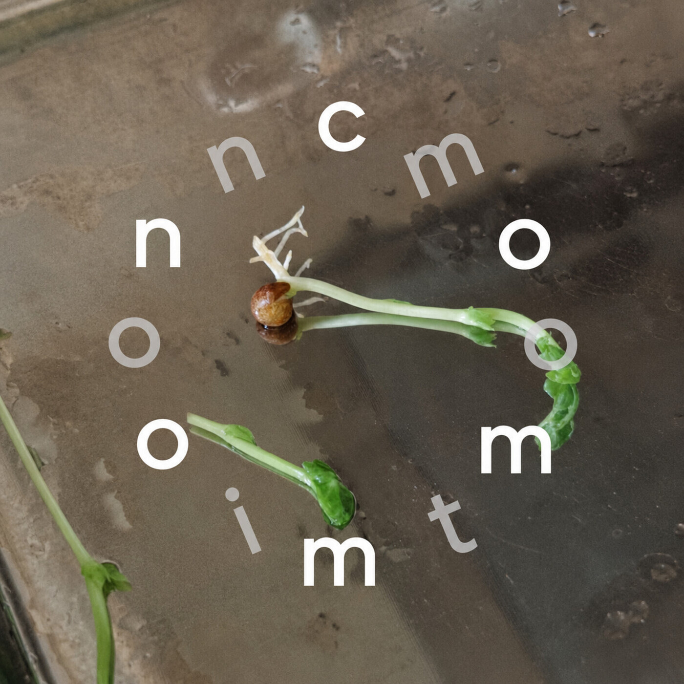 CommonMotion基本功 c-m-00: C°M°00.“明天也会像今天一样，这是多么珍贵啊”