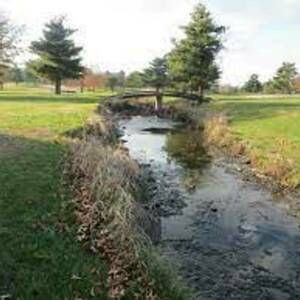 The Willow Creek Bunch