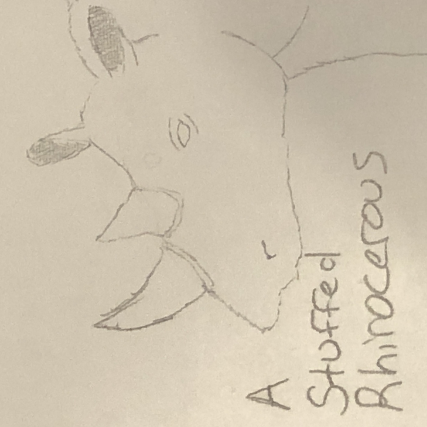 A Stuffed Rhinoceros