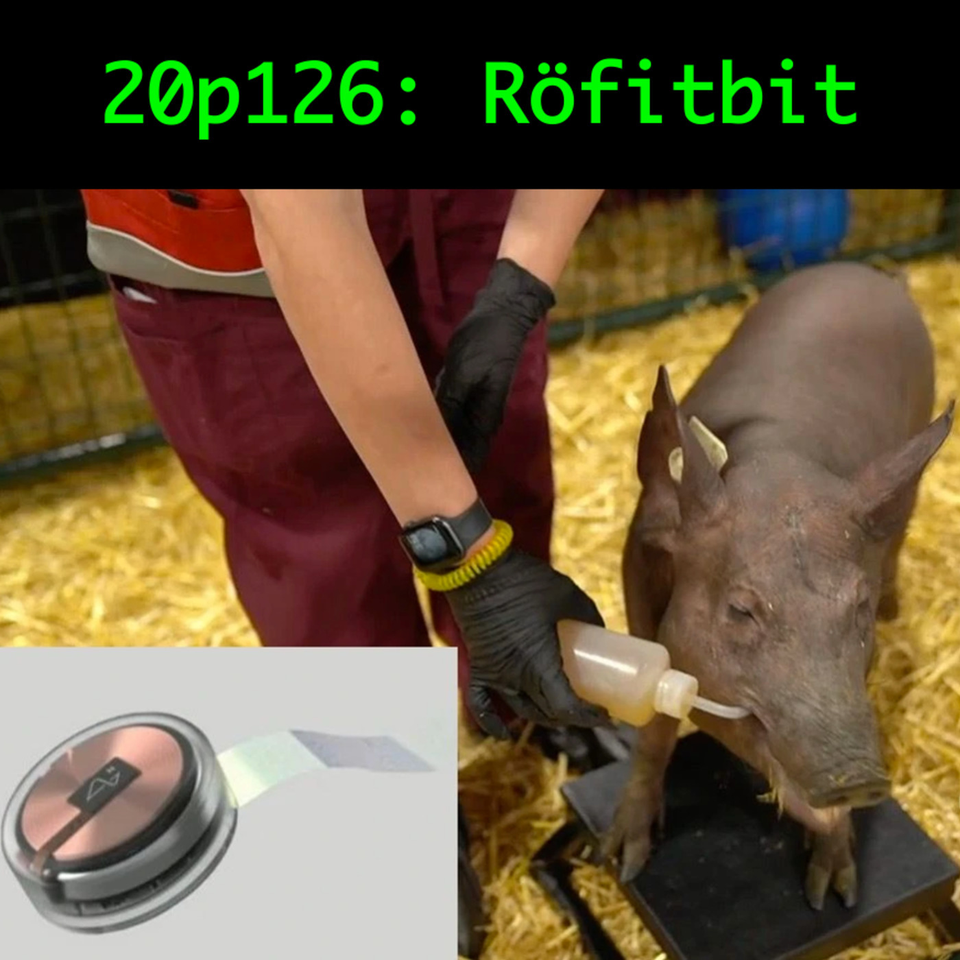 Röfitbit