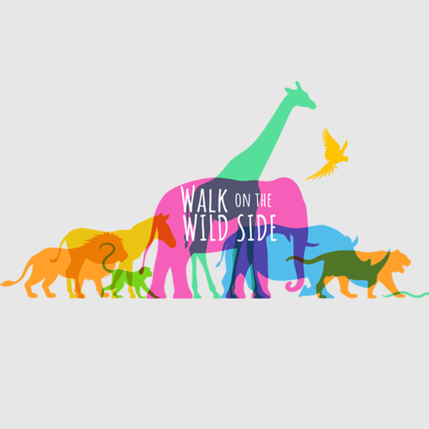 Walk on the Wild Side: Between a Rock and a Hard Place | Sunday, July 26, 2020