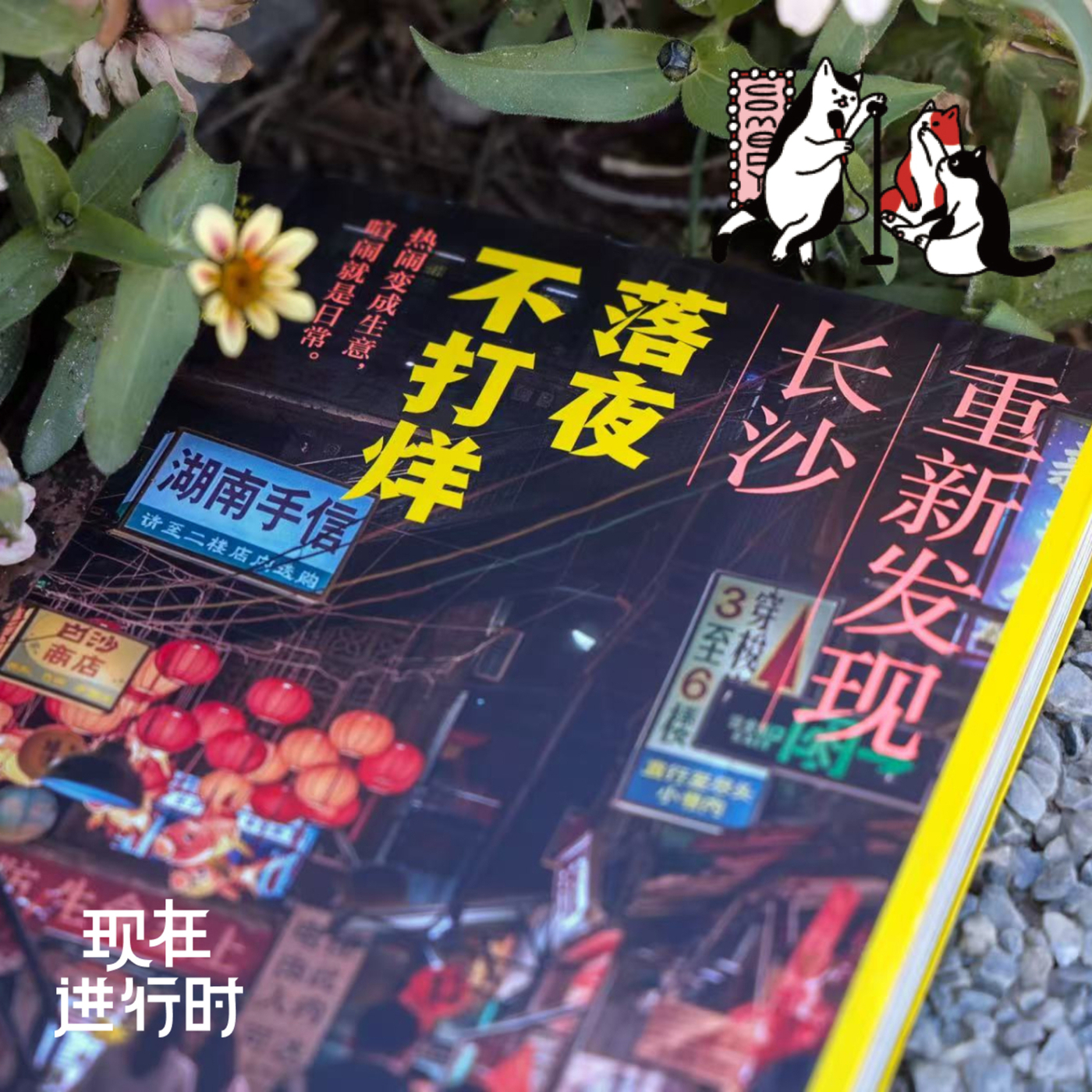 现在进行时: SP00 长沙这么红，还有什么值得重新发现？