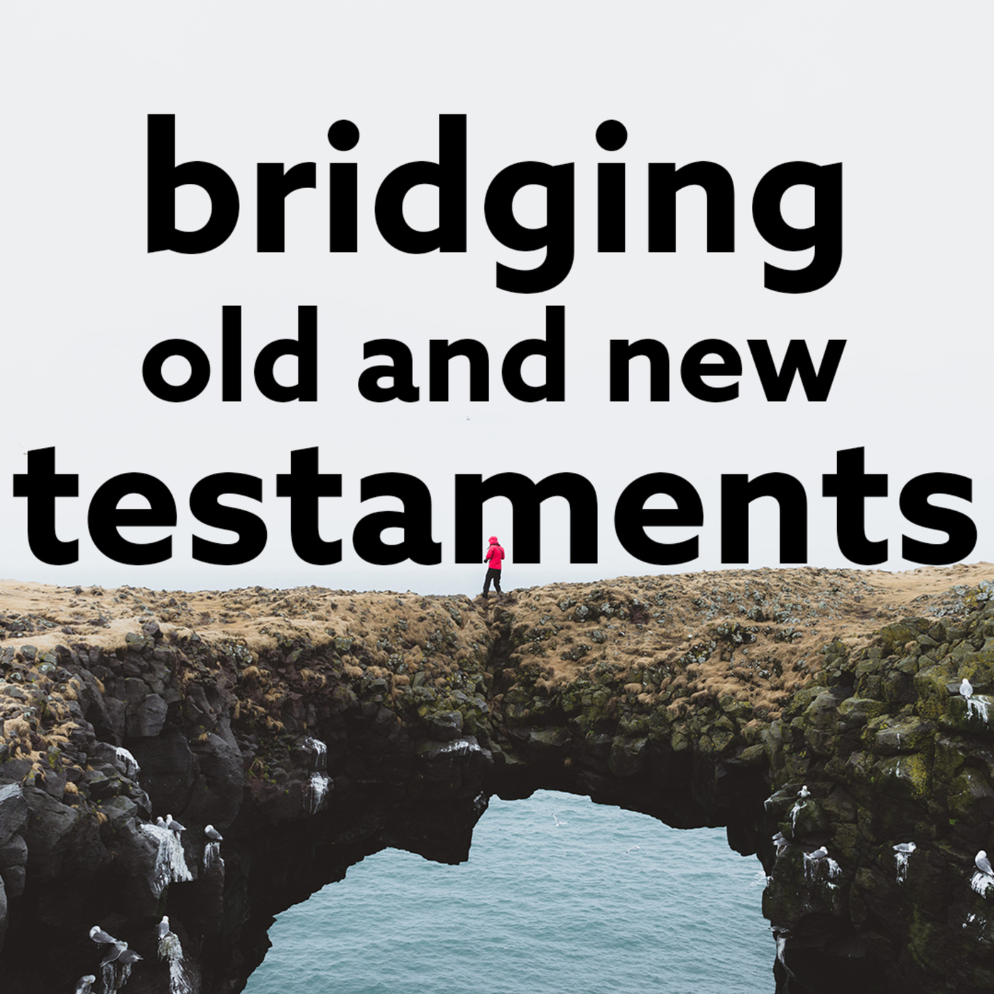 How to Study the Bible - Bridging the Old and New Testaments