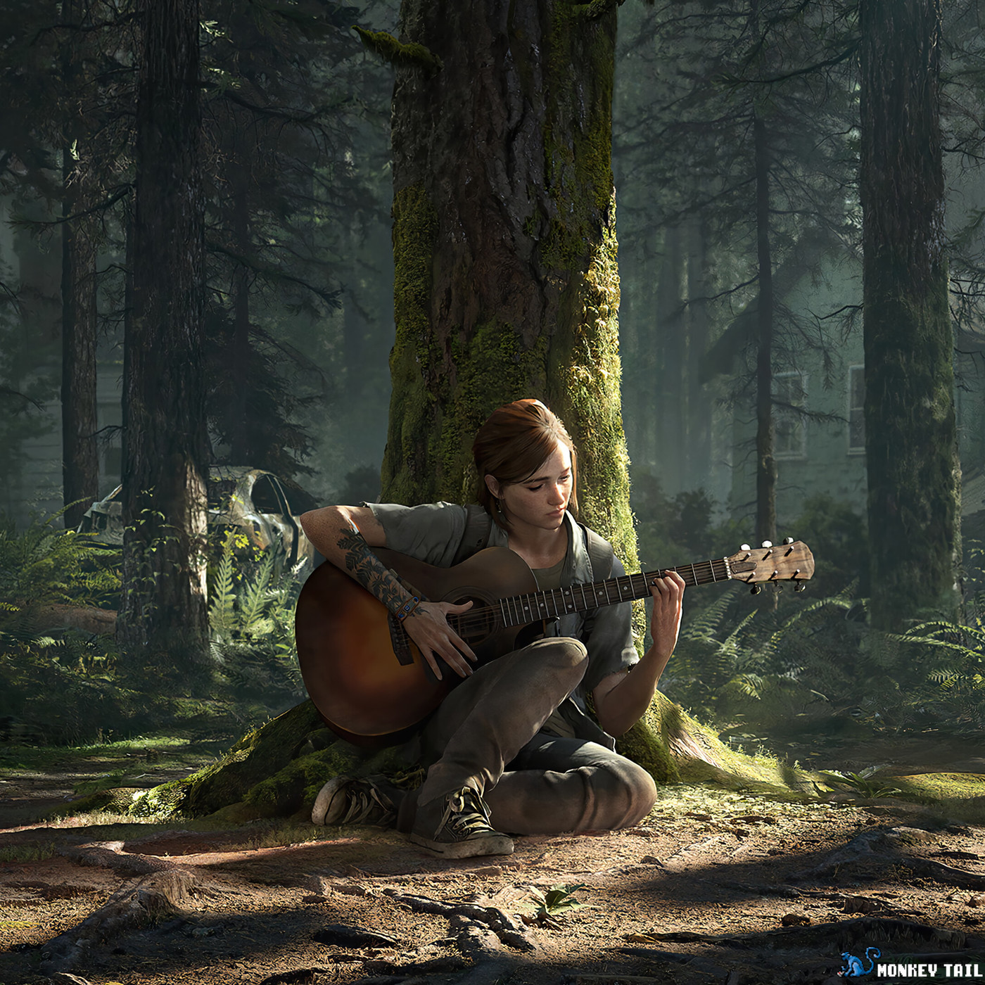 The disk one looks like it's pregnant